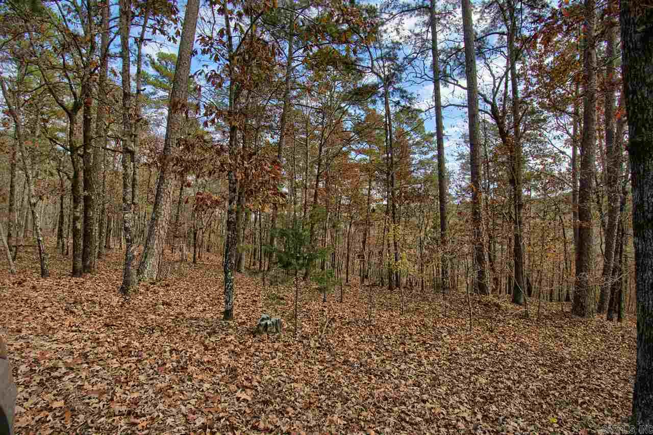 11 Acaso  Hot Springs Village, AR