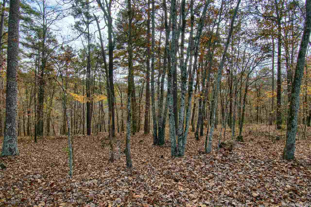 11 Acaso  Hot Springs Village, AR