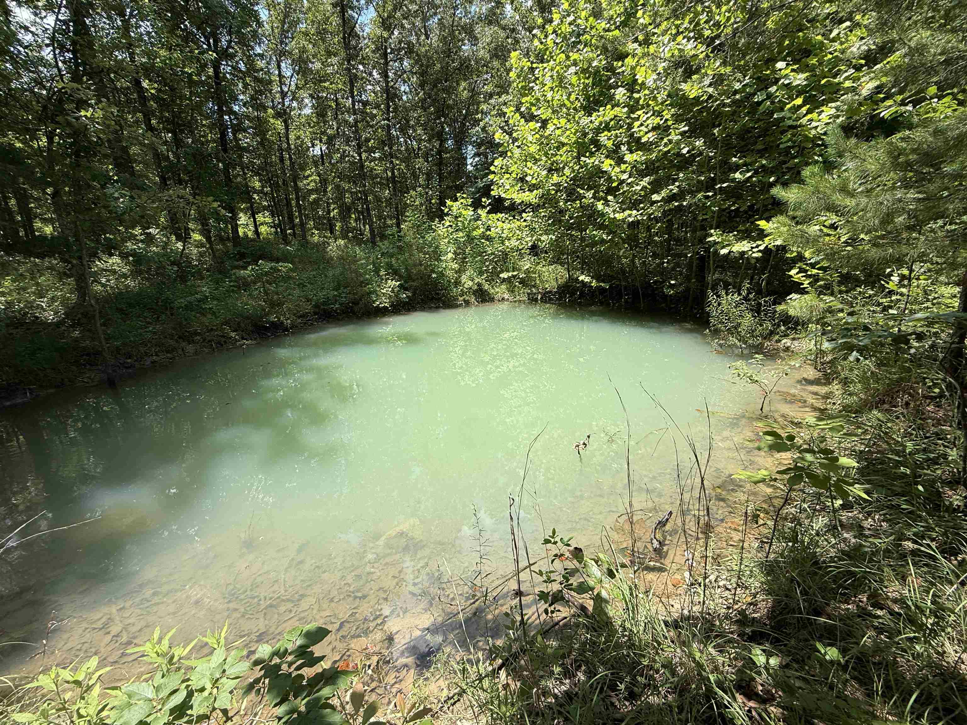 2061A Chapel Hill Road  Brockwell, AR