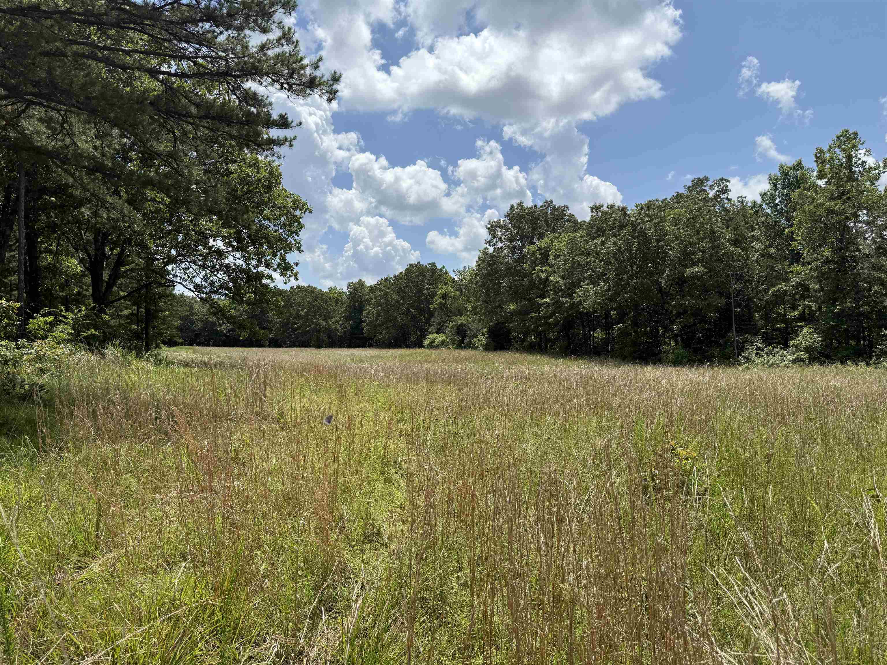 2061A Chapel Hill Road  Brockwell, AR