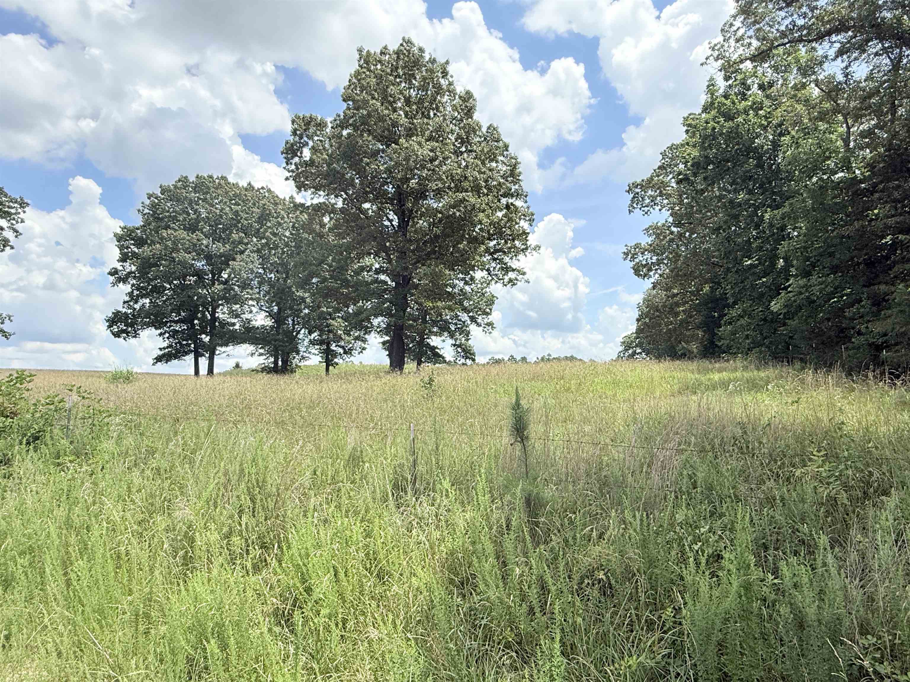  Johnny Neal Road  Brockwell, AR