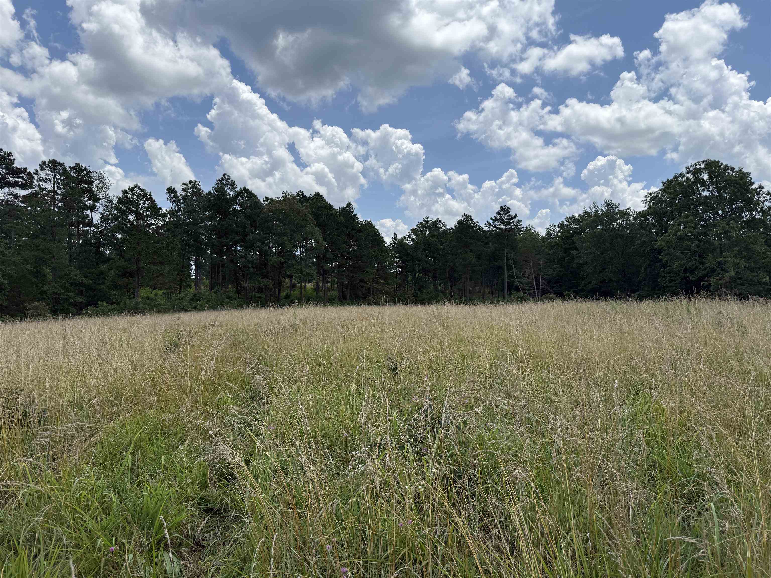  Johnny Neal Road  Brockwell, AR