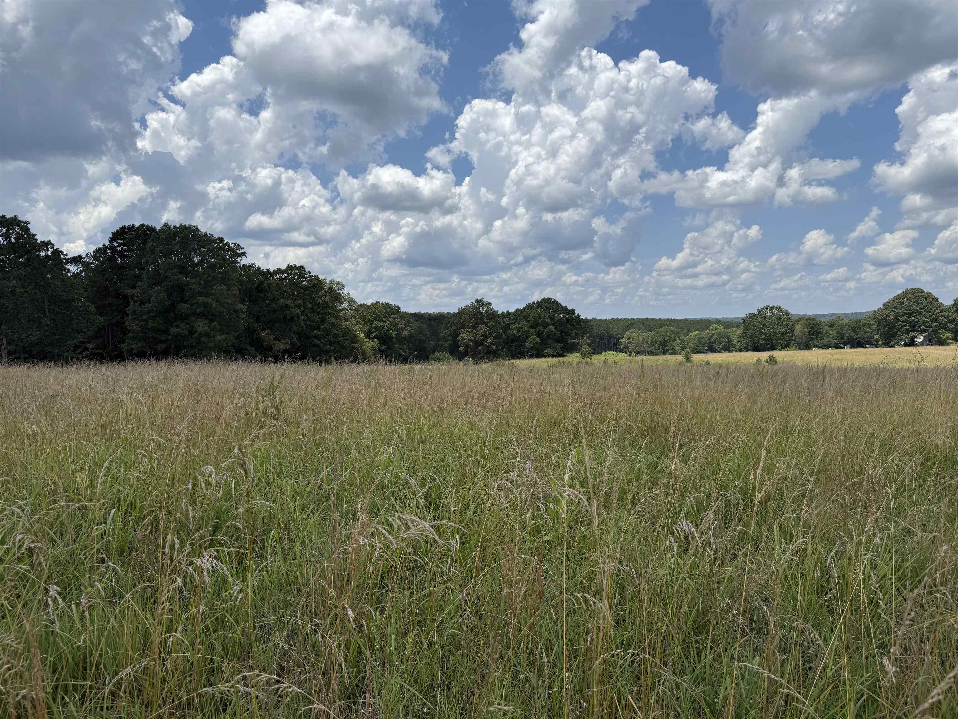  Johnny Neal Road  Brockwell, AR