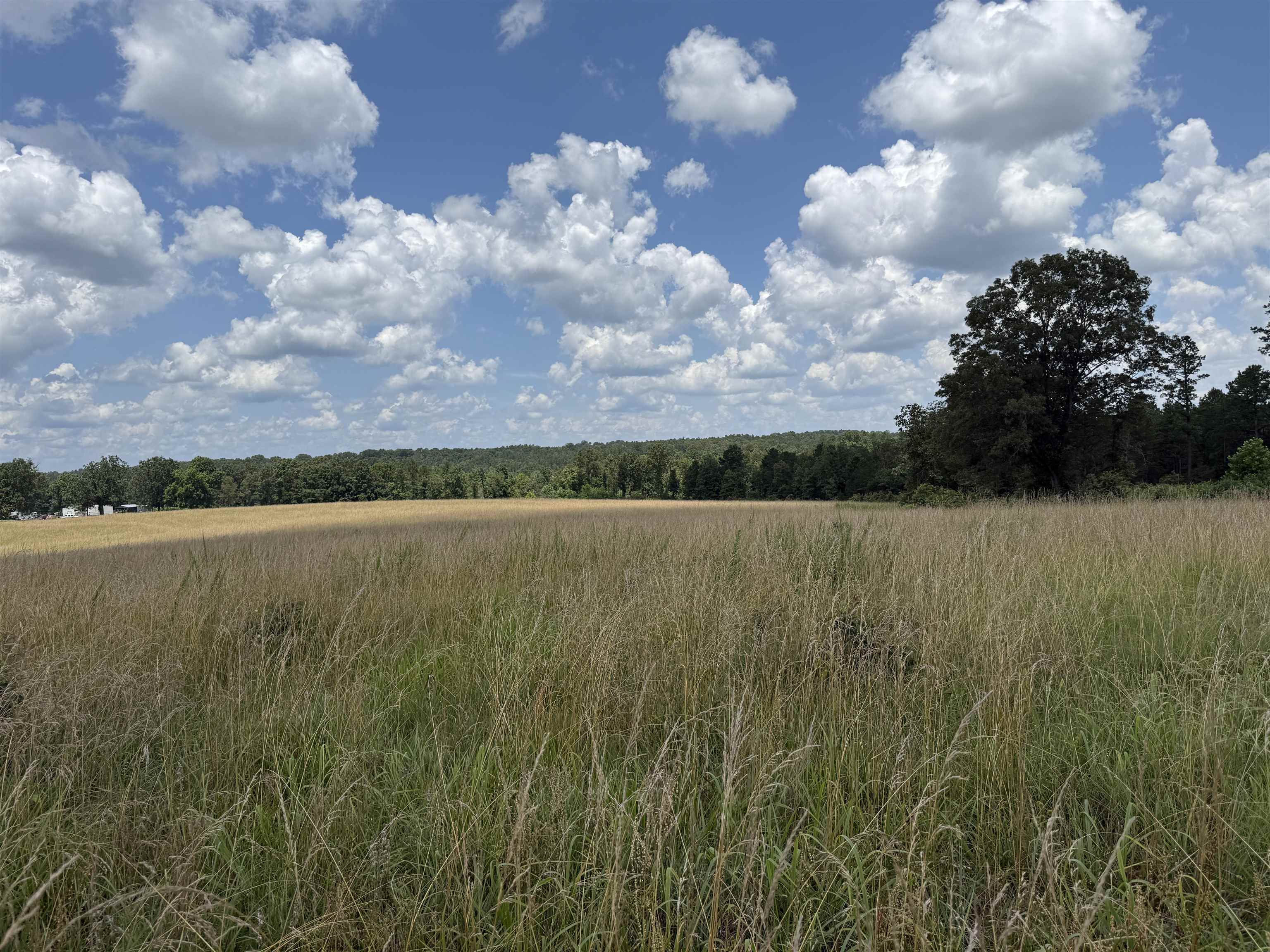  Johnny Neal Road  Brockwell, AR
