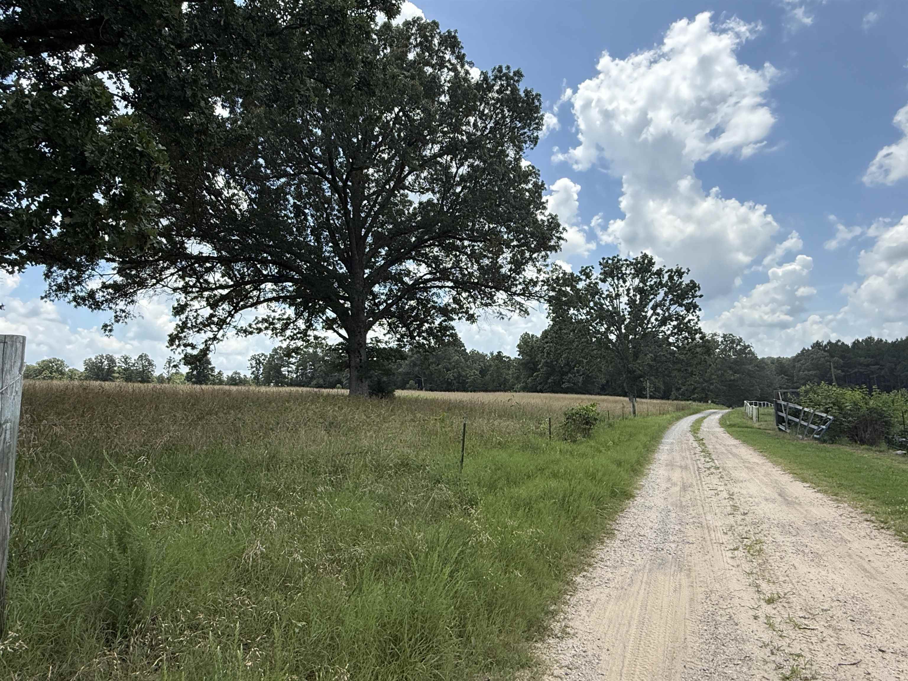  Johnny Neal Road  Brockwell, AR