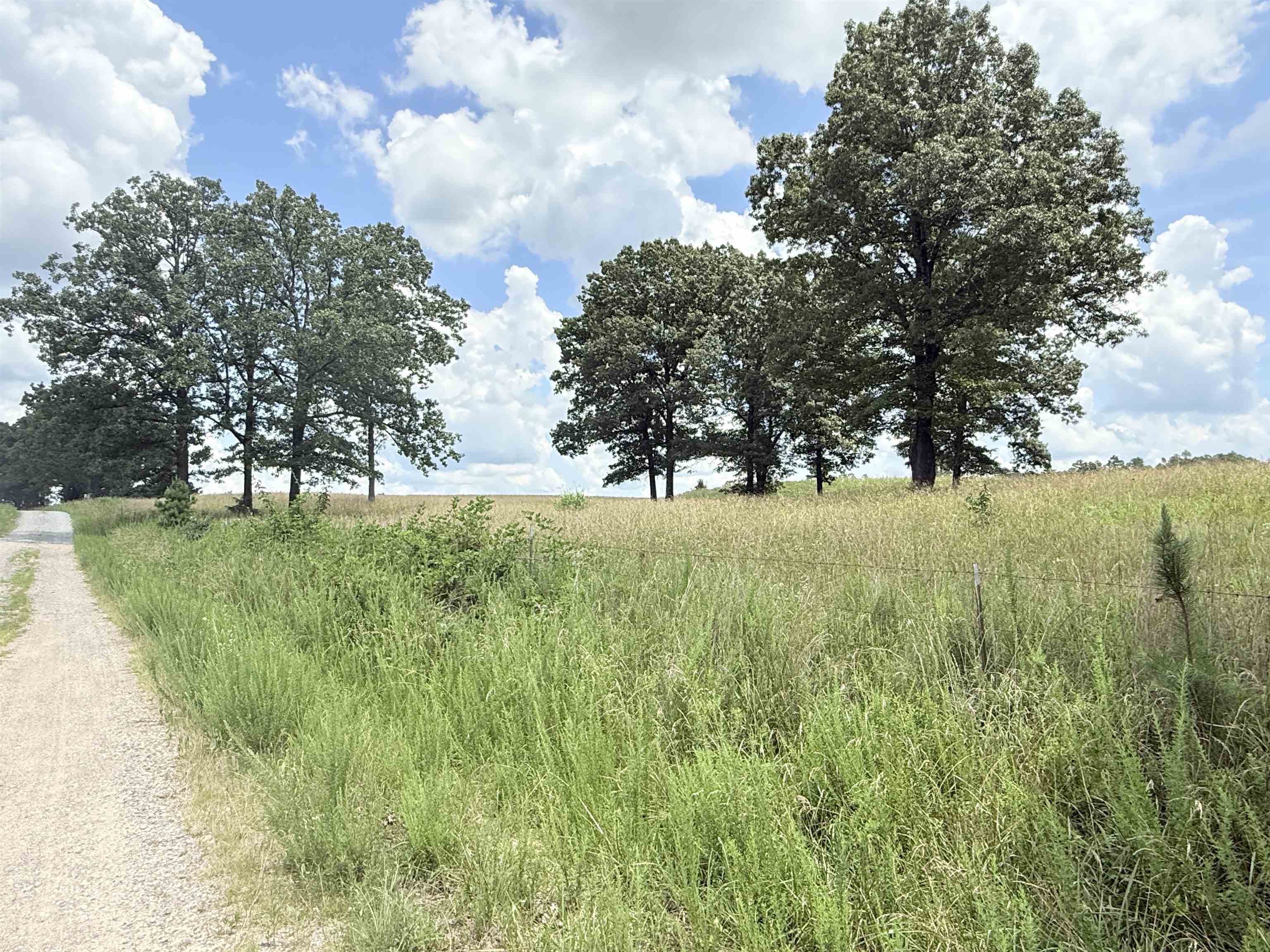  Johnny Neal Road  Brockwell, AR