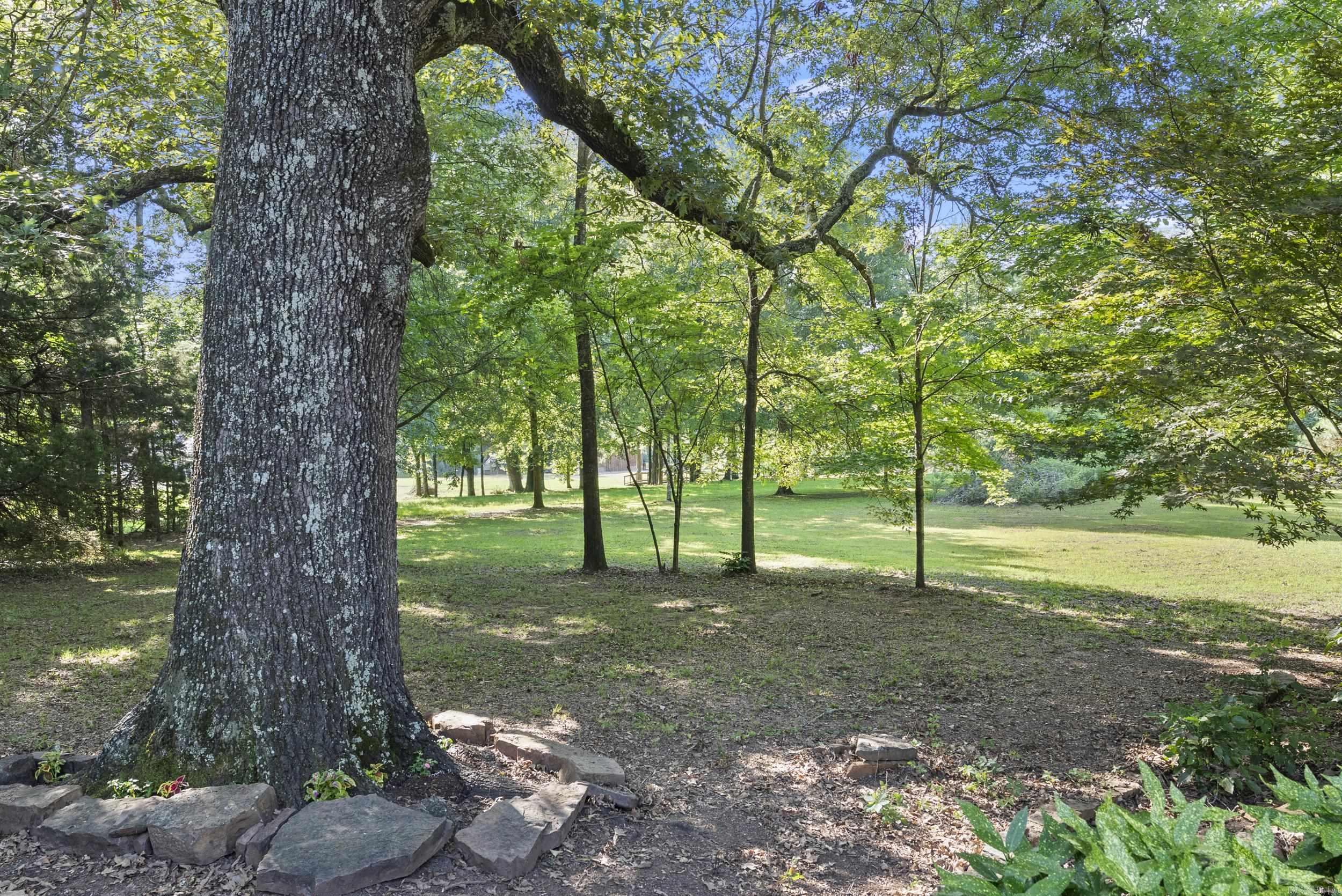 37 Cumberland Park  Conway, AR