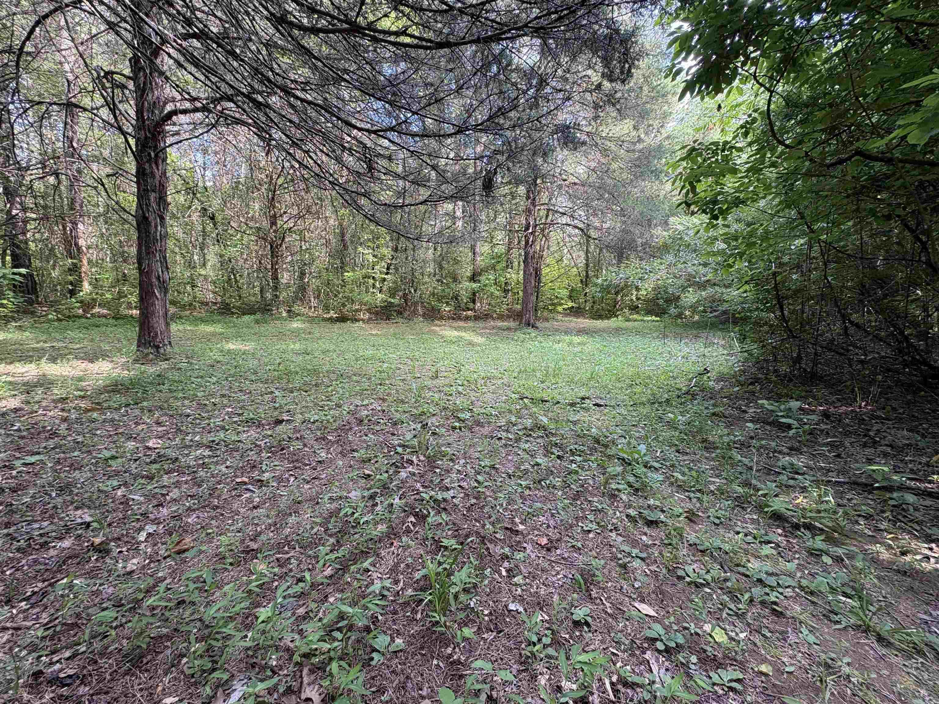 391 Bloodworth  Searcy, AR