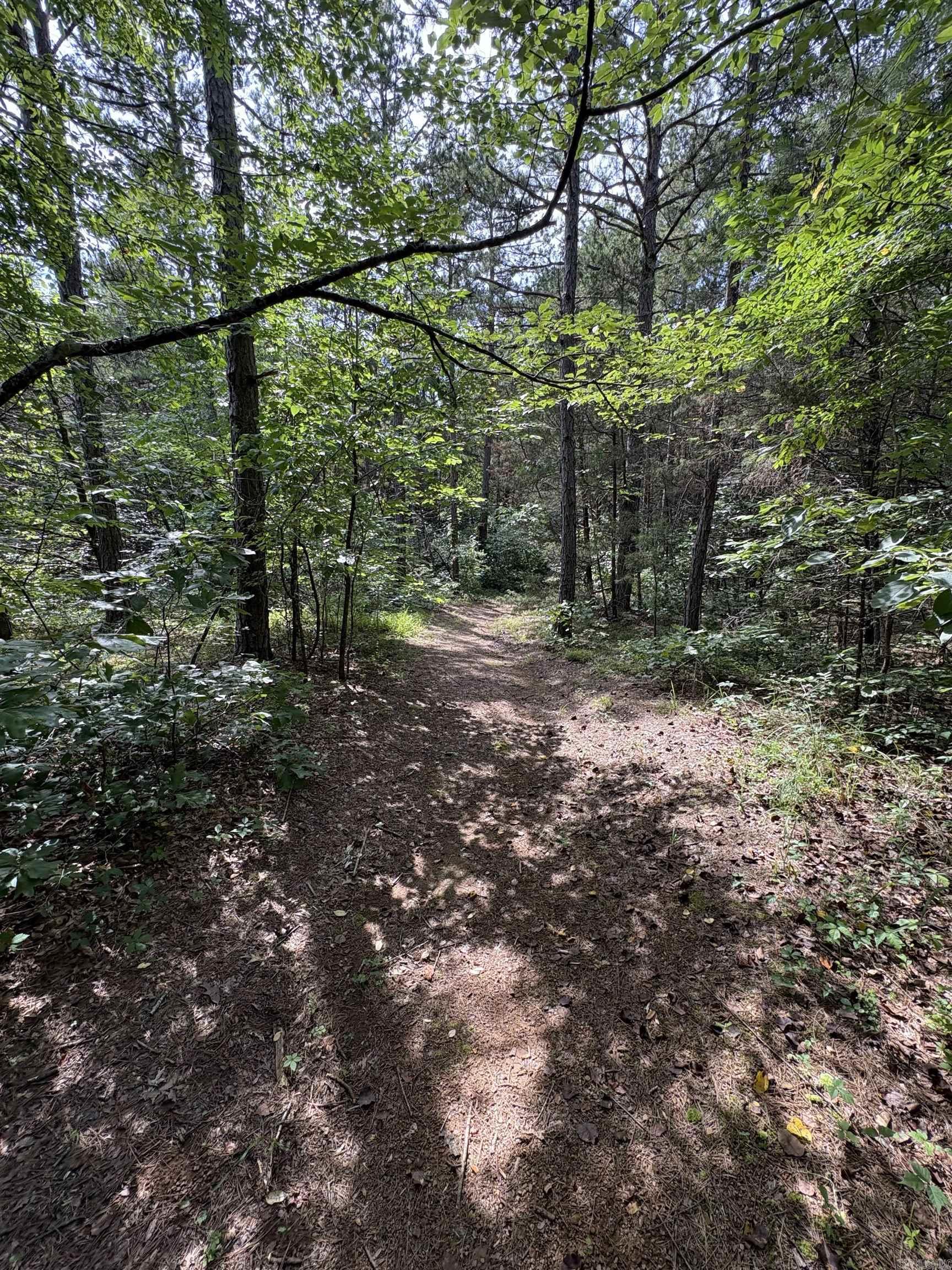 391 Bloodworth  Searcy, AR