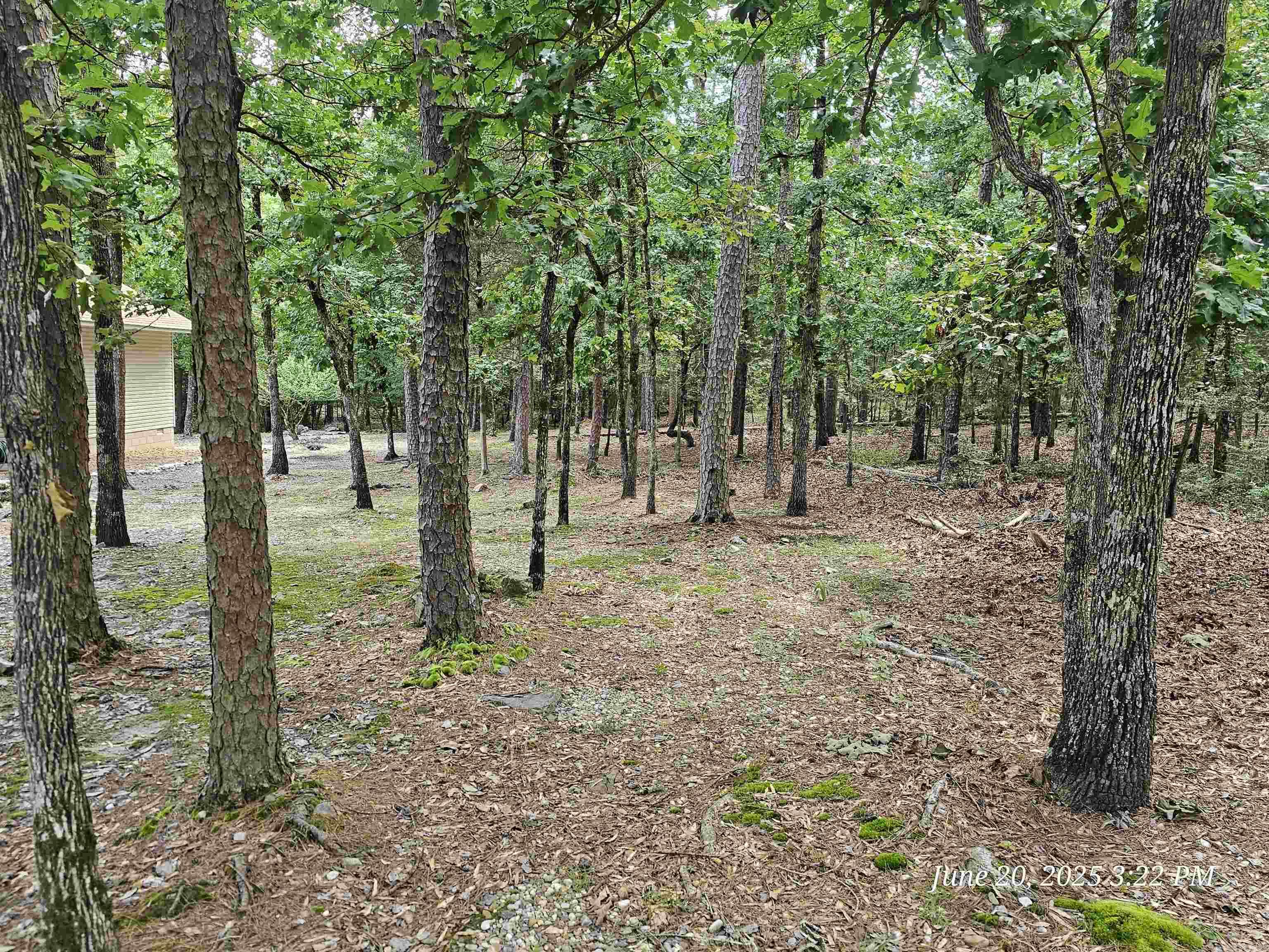 5 Justa Via  Hot Springs Village, AR