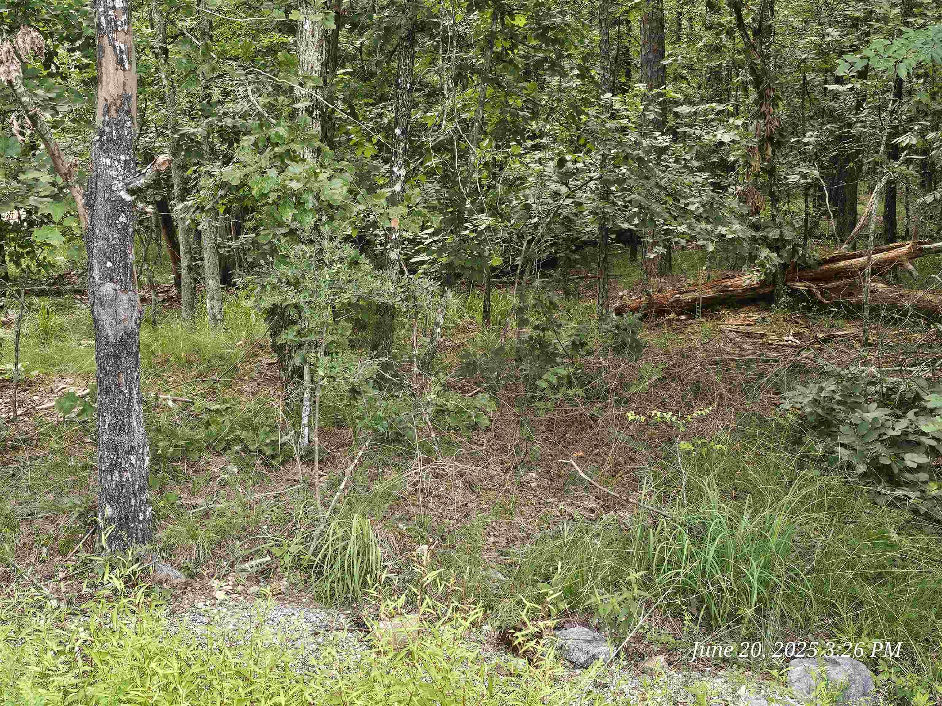 65 Justa Via  Hot Springs Village, AR
