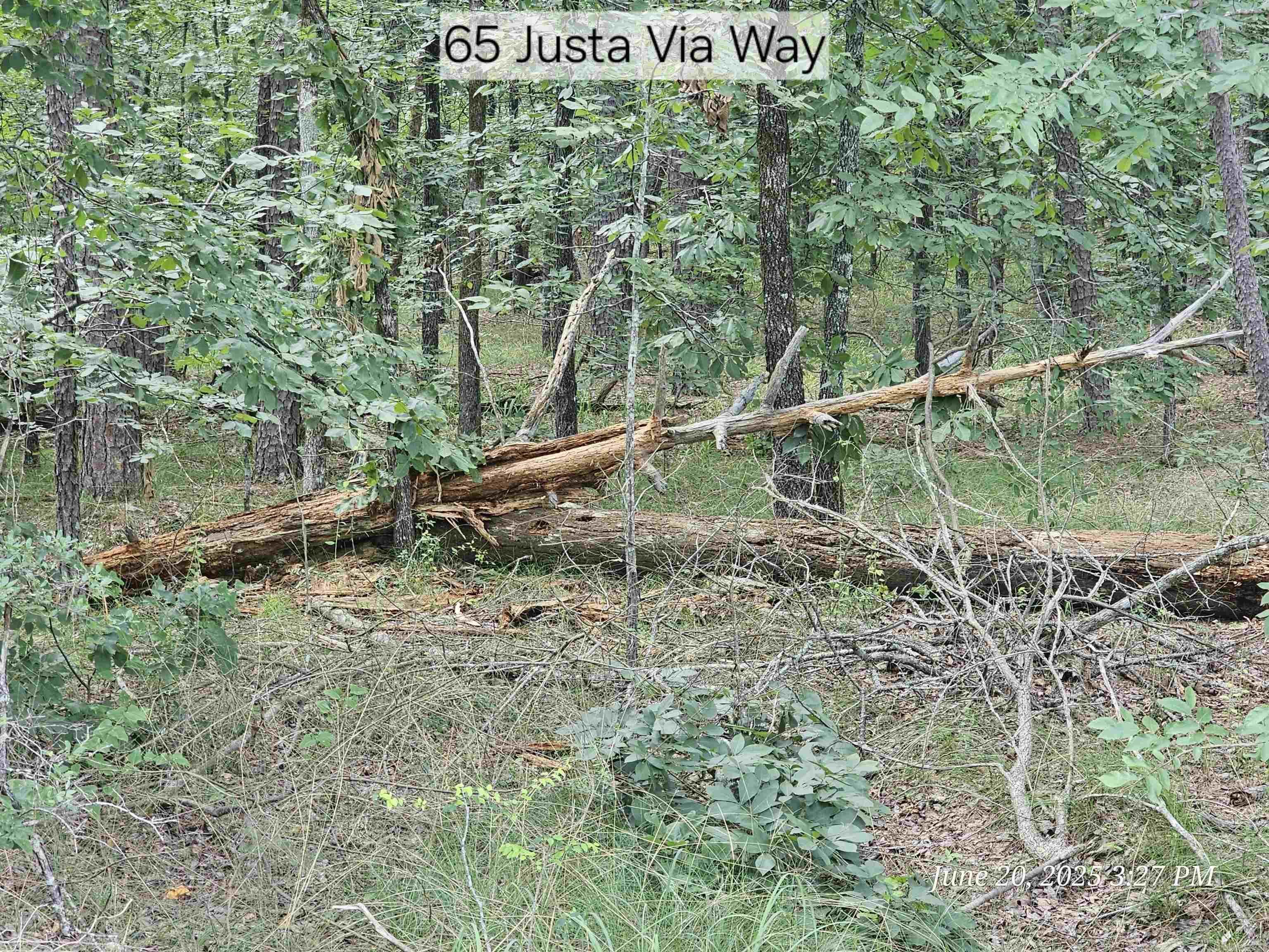 65 Justa Via  Hot Springs Village, AR