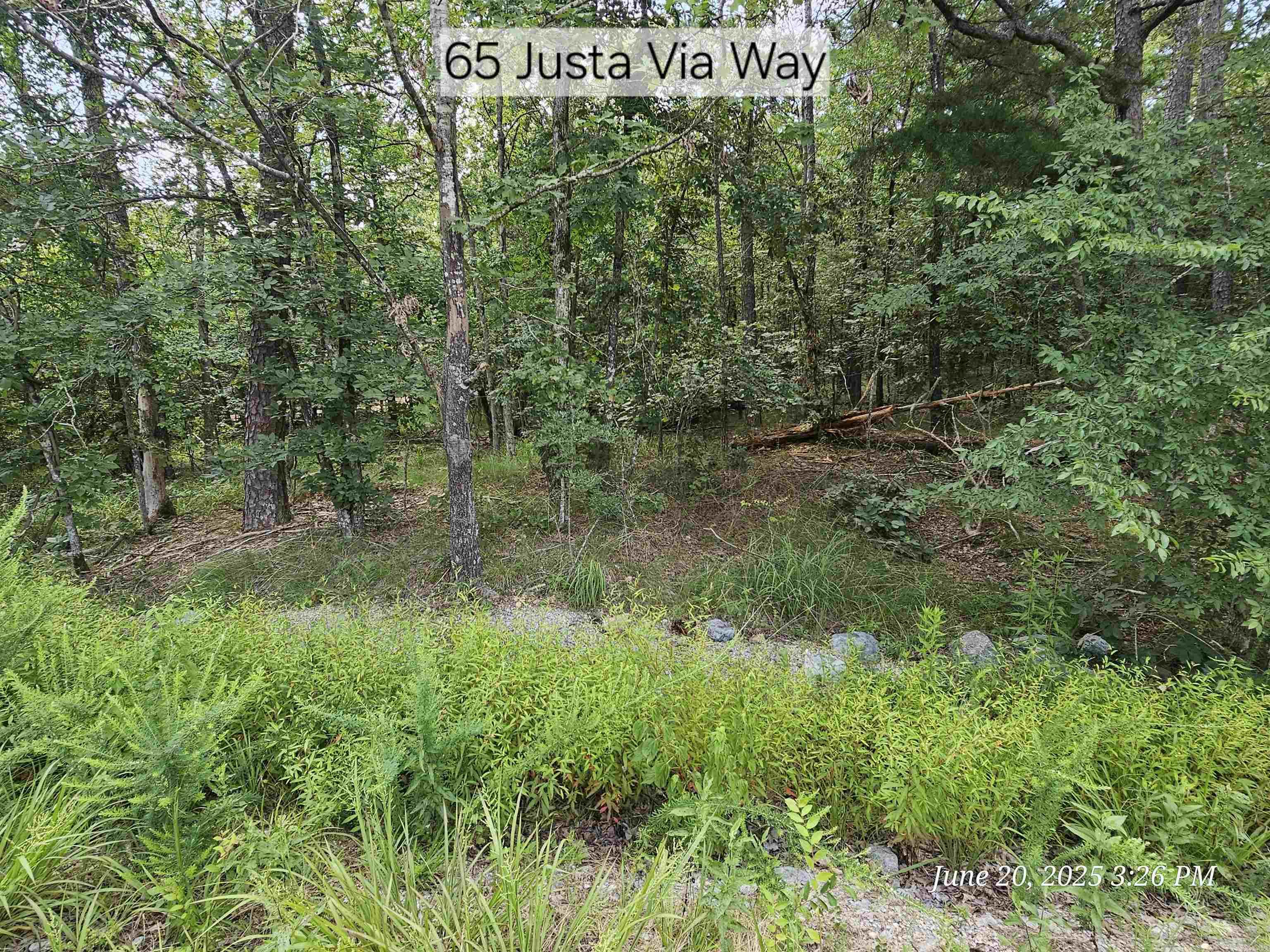 65 Justa Via  Hot Springs Village, AR
