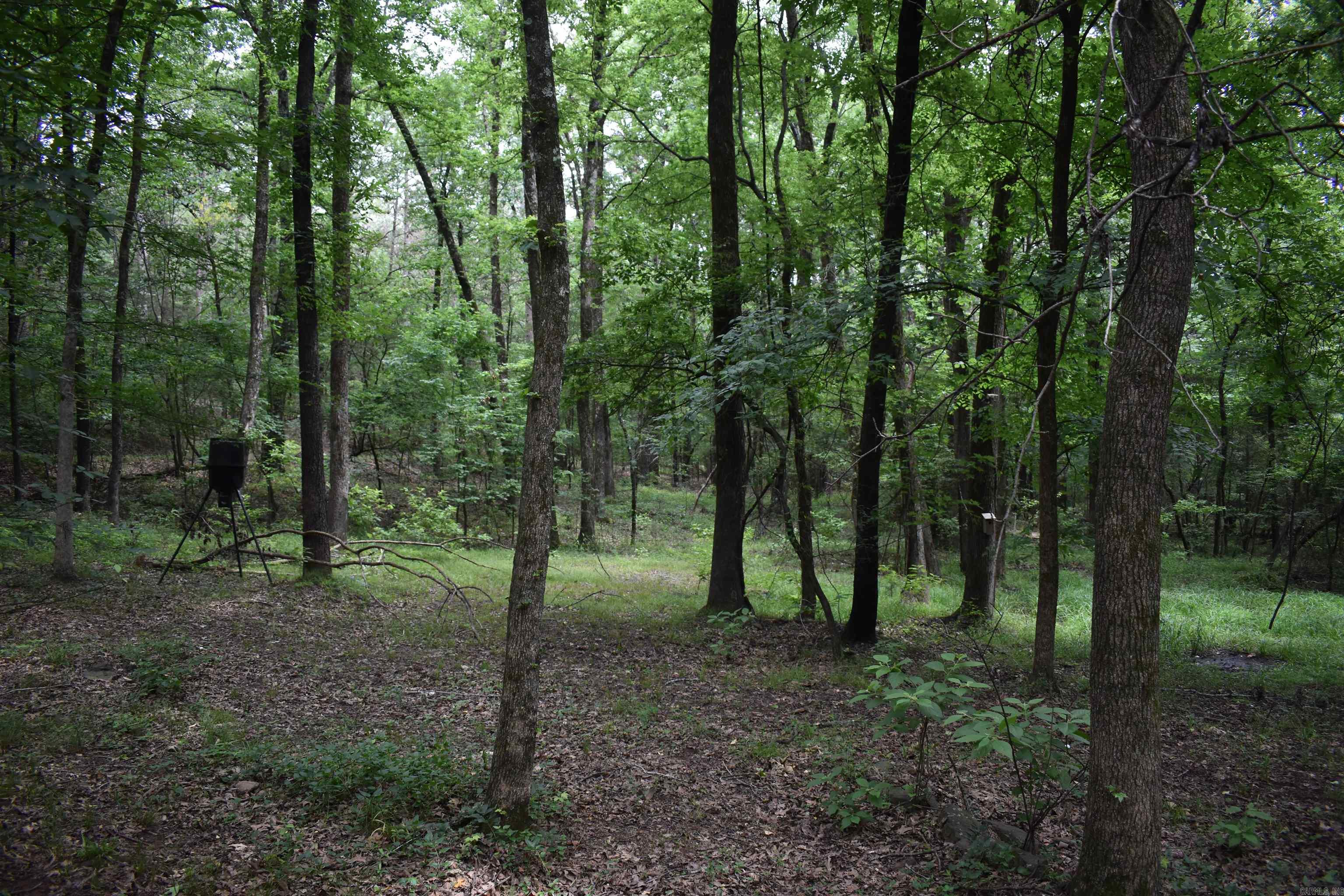 2244 Peach Orchard  Ozark, AR