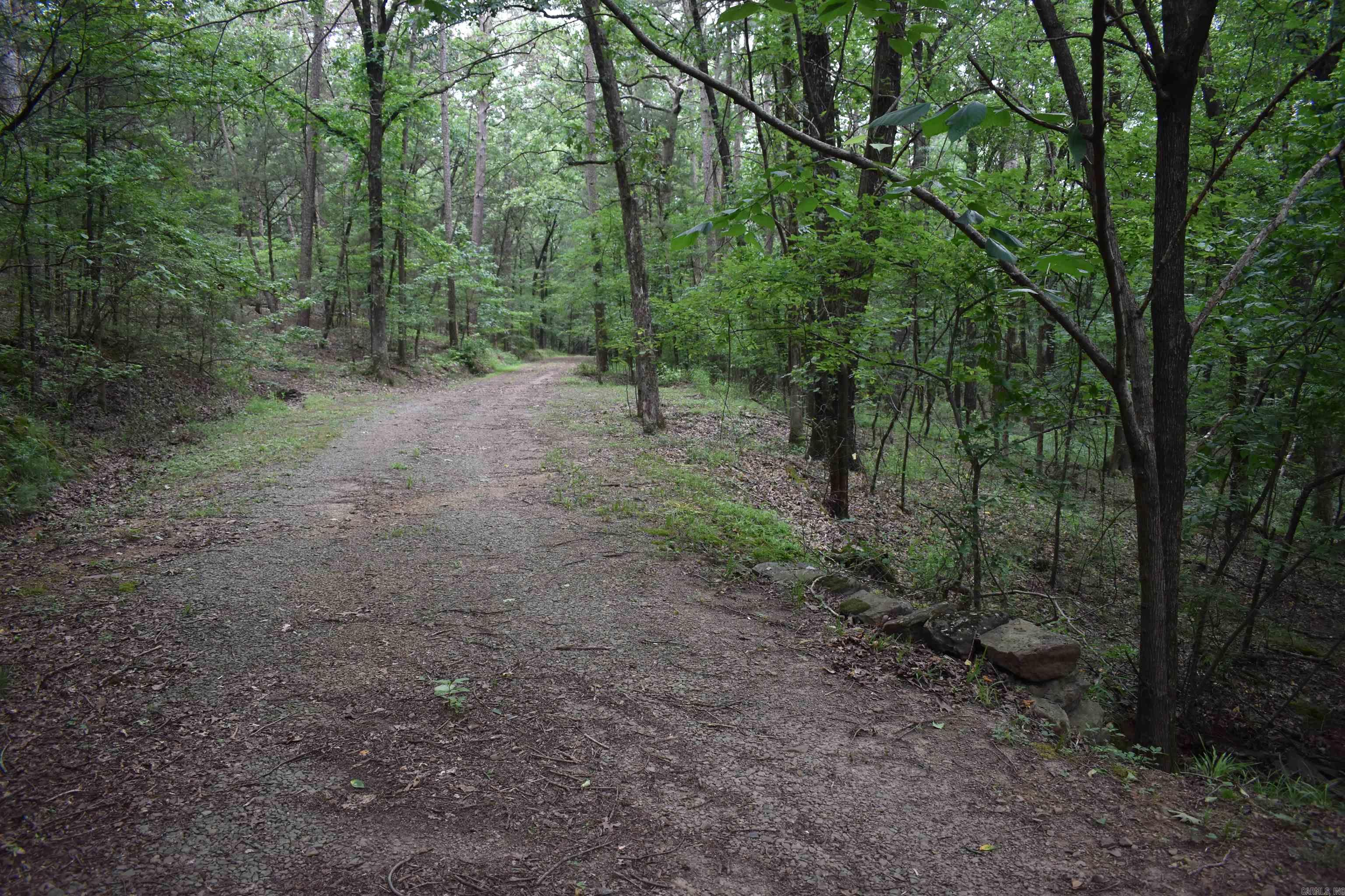 2244 Peach Orchard  Ozark, AR