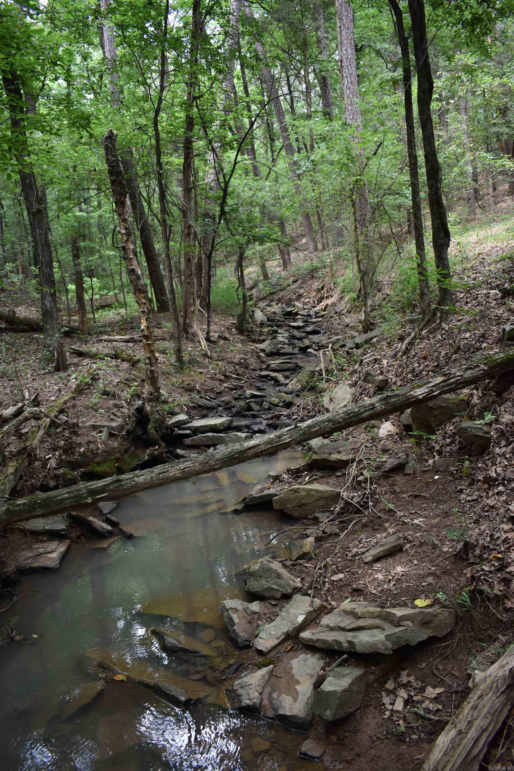 2244 Peach Orchard  Ozark, AR