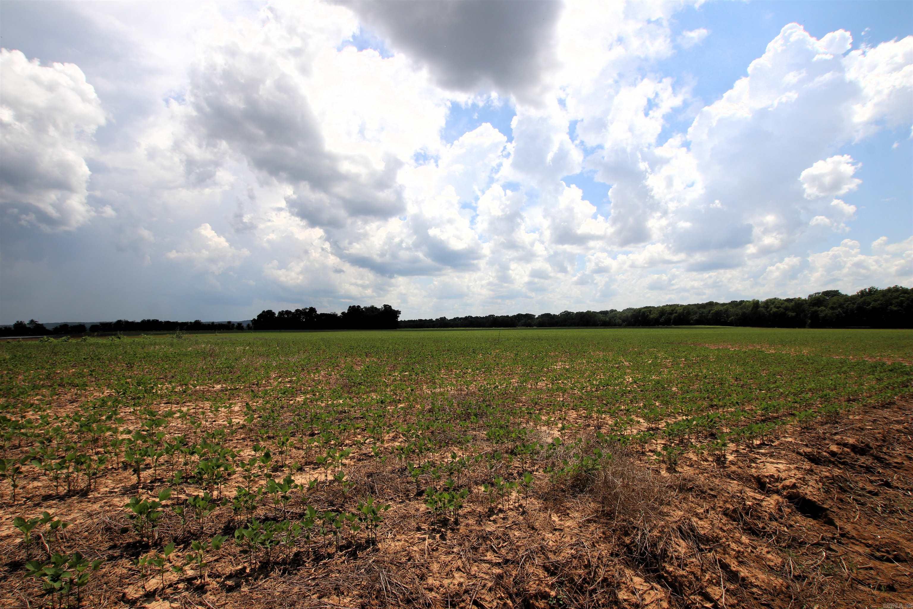 000 Portland  Plumerville, AR