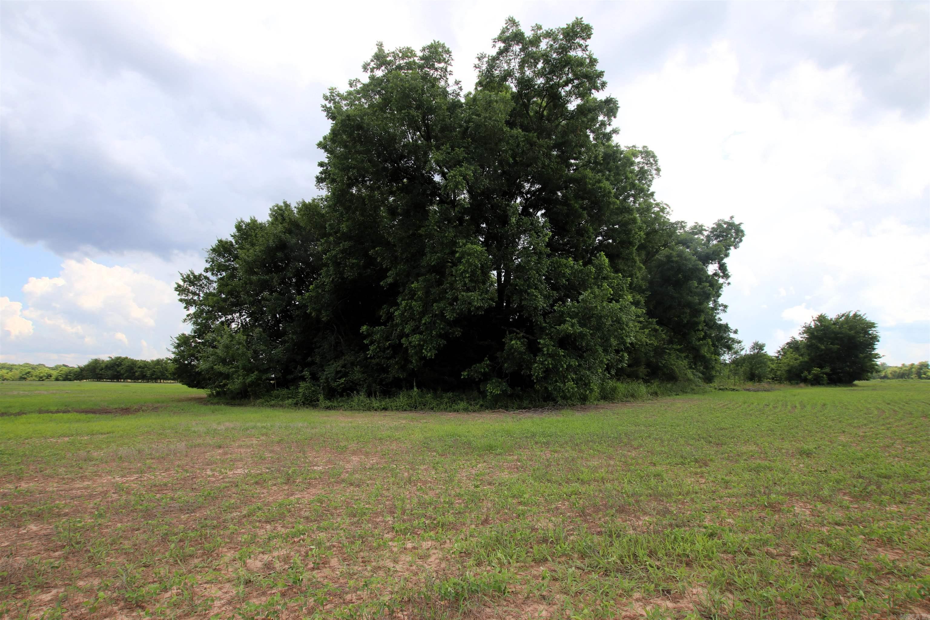 000 Portland  Plumerville, AR