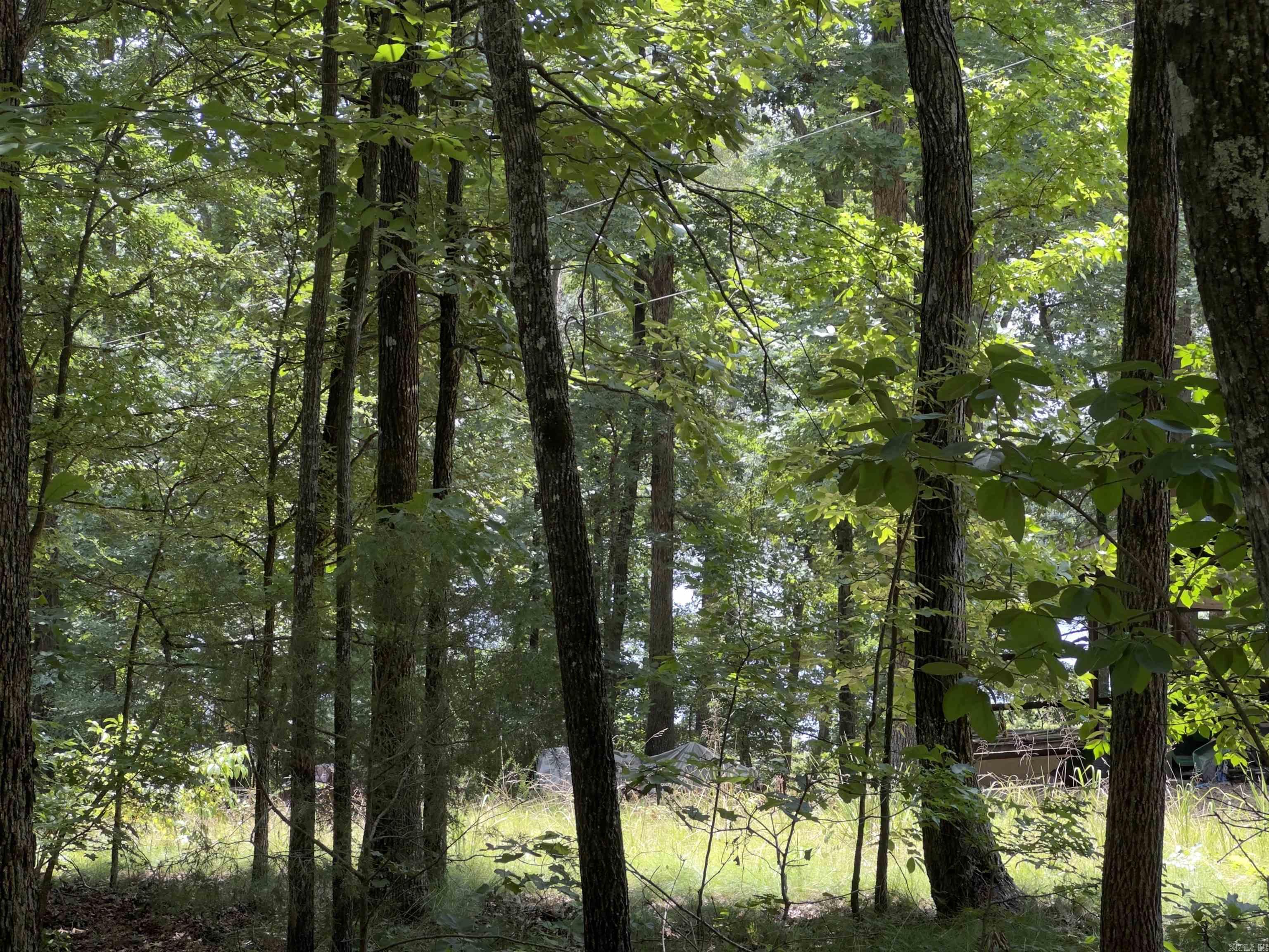 00 Apache Rd  Edgemont, AR