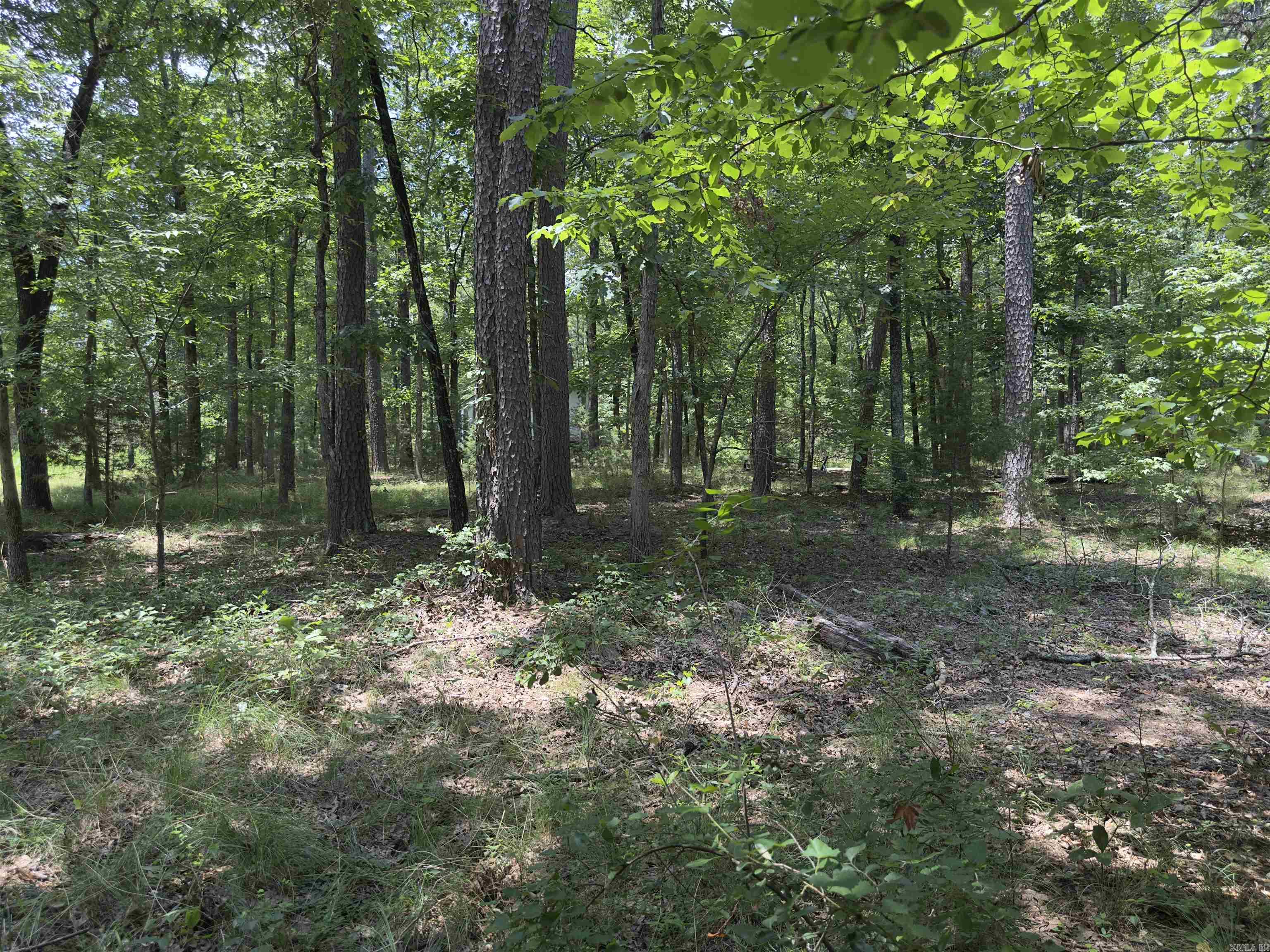 00 Apache Rd  Edgemont, AR