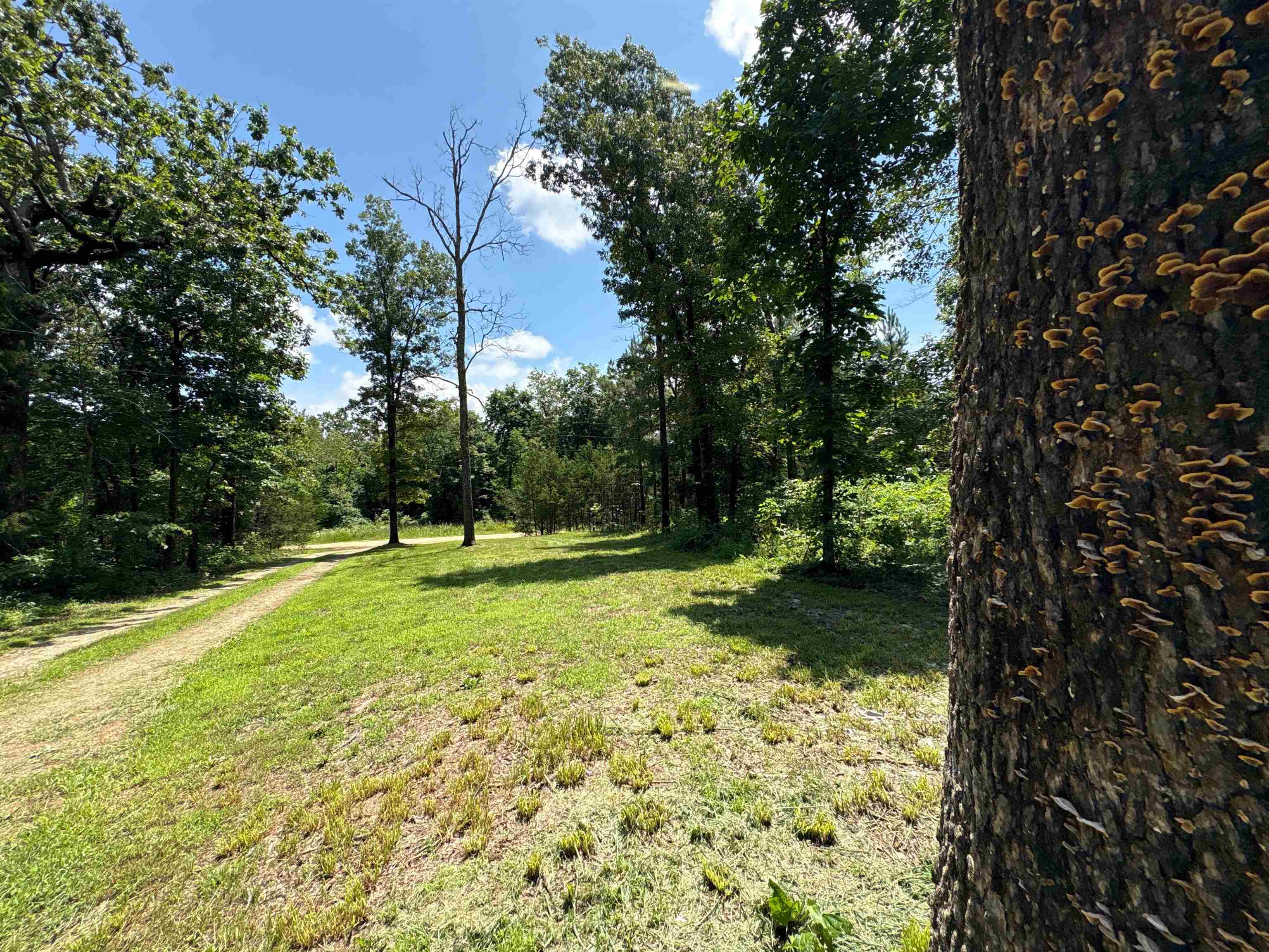420 Strawberry River  Oxford, AR