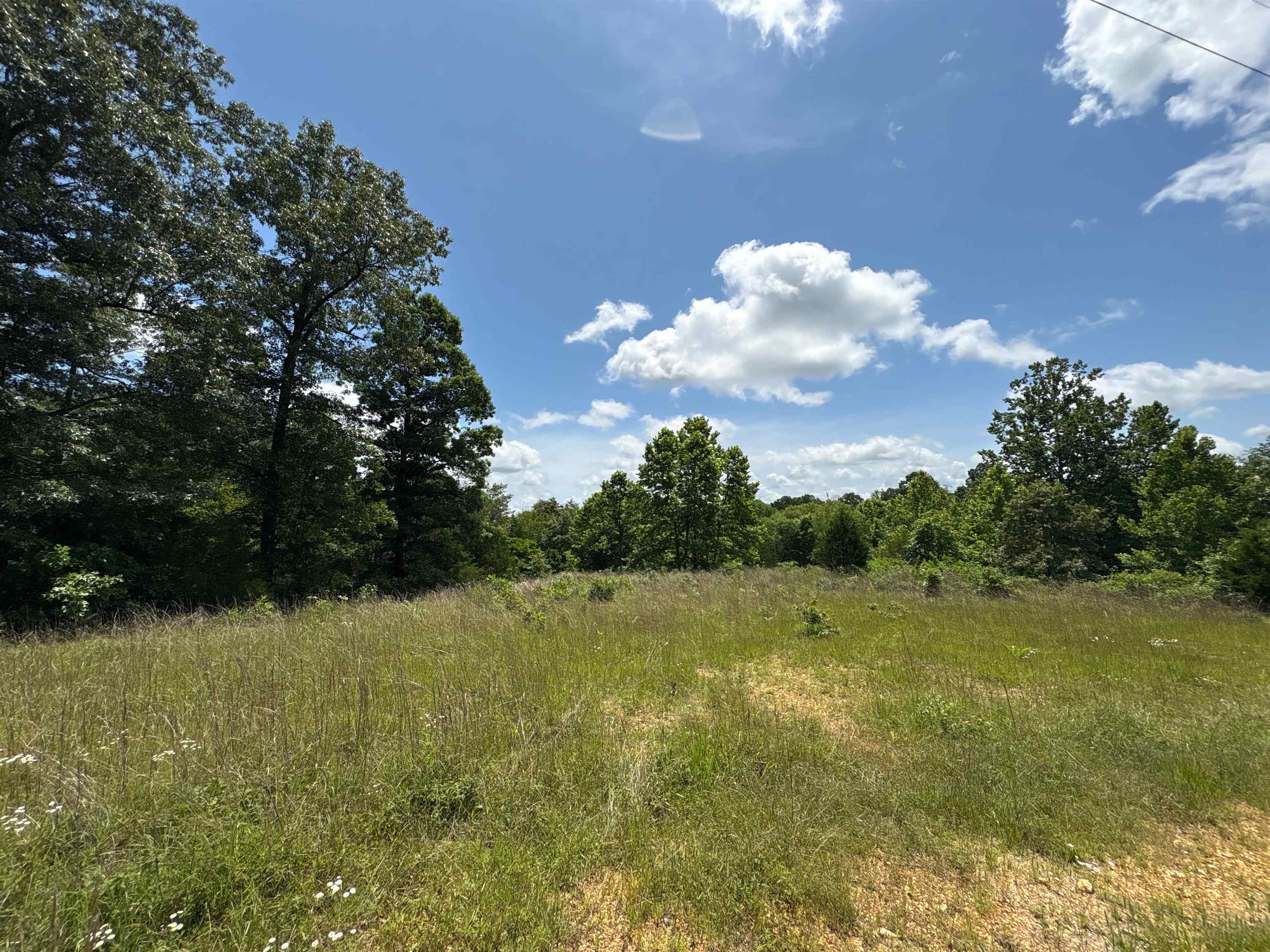420 Strawberry River  Oxford, AR