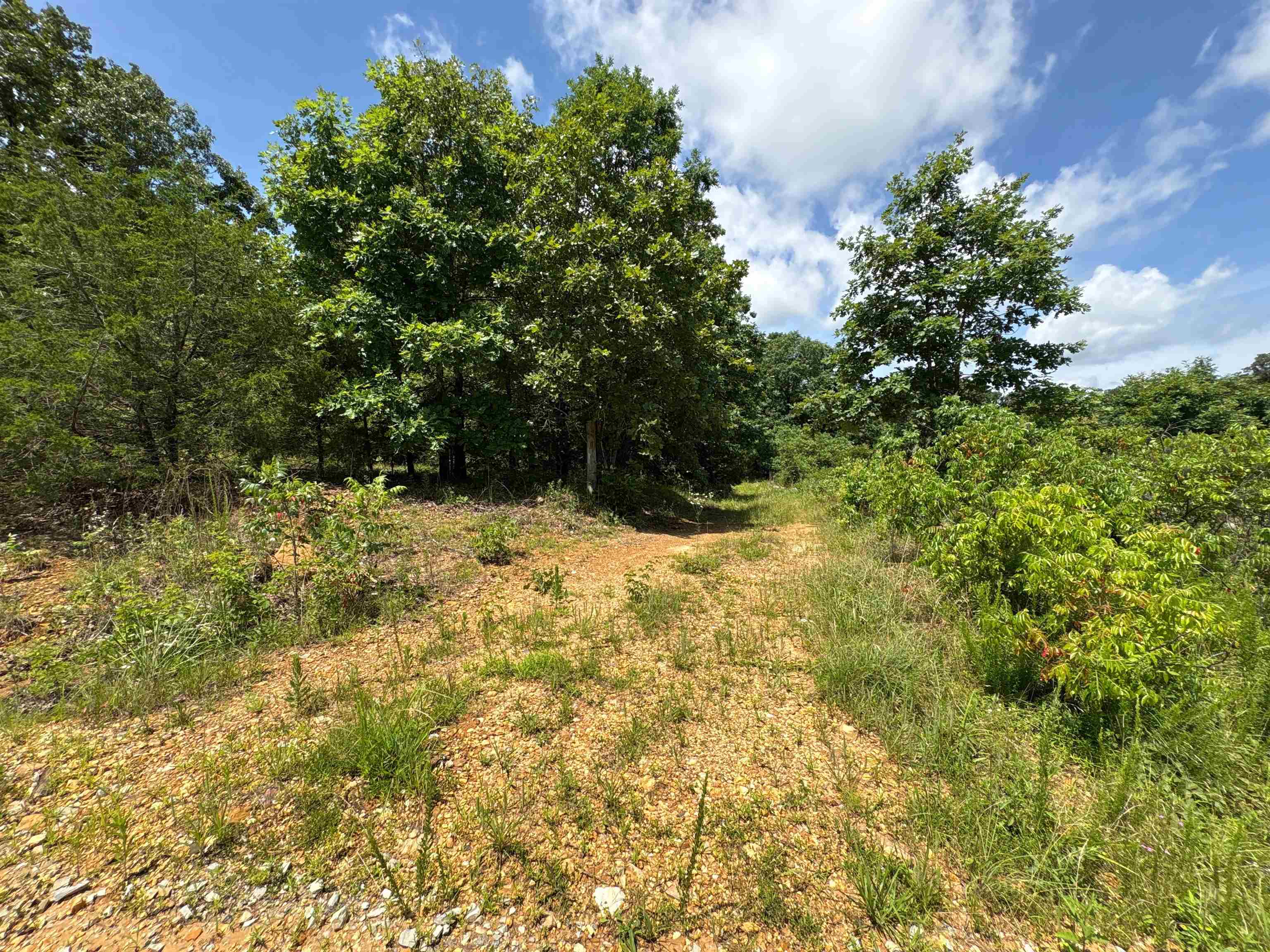 420 Strawberry River  Oxford, AR