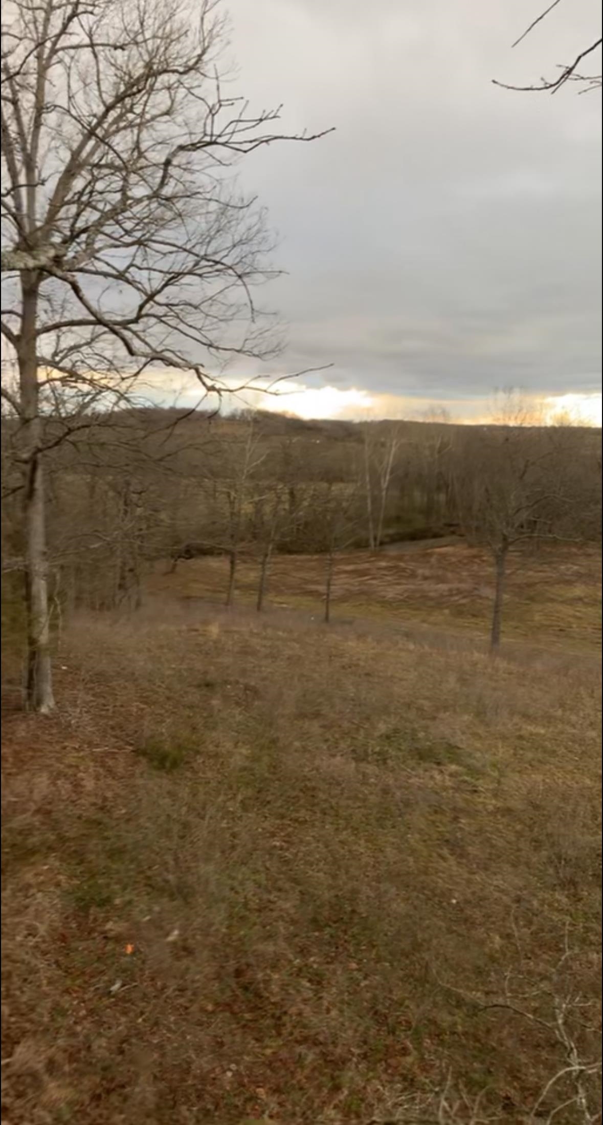 420 Strawberry River  Oxford, AR