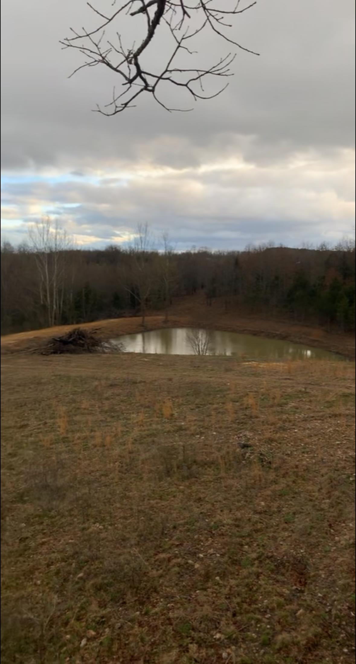 420 Strawberry River  Oxford, AR