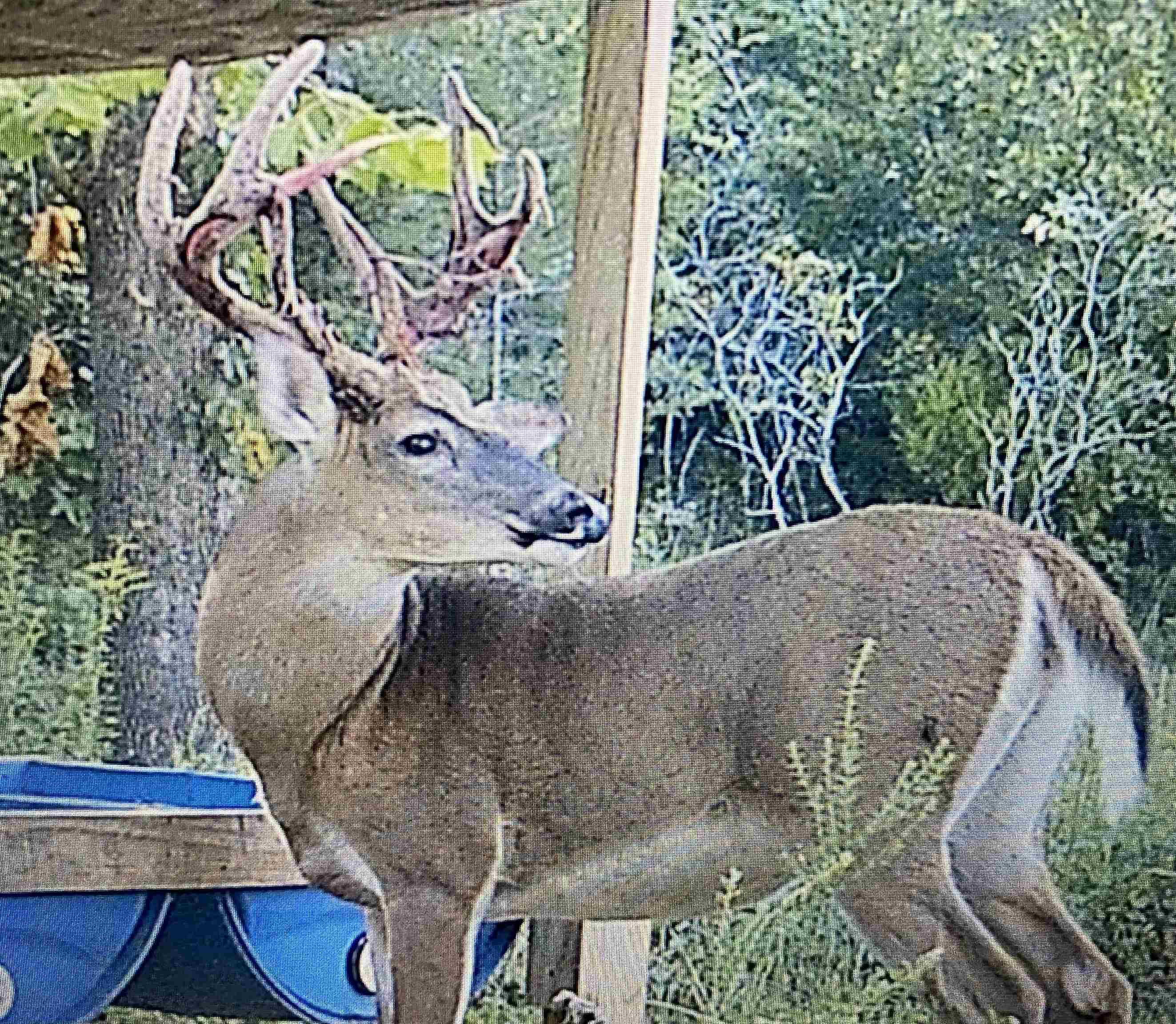 420 Strawberry River  Oxford, AR