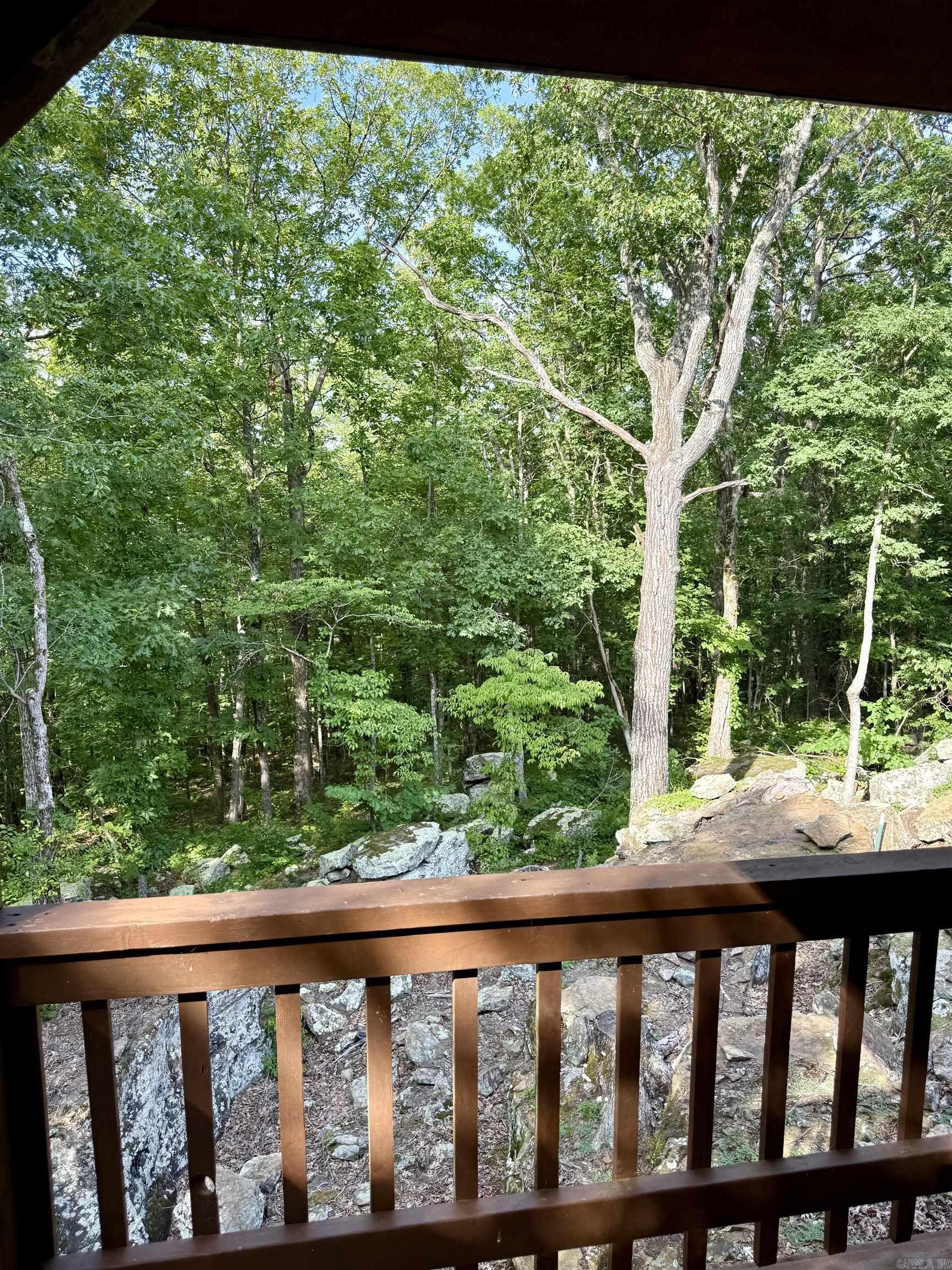 50 Jackson Ridge  Higden, AR