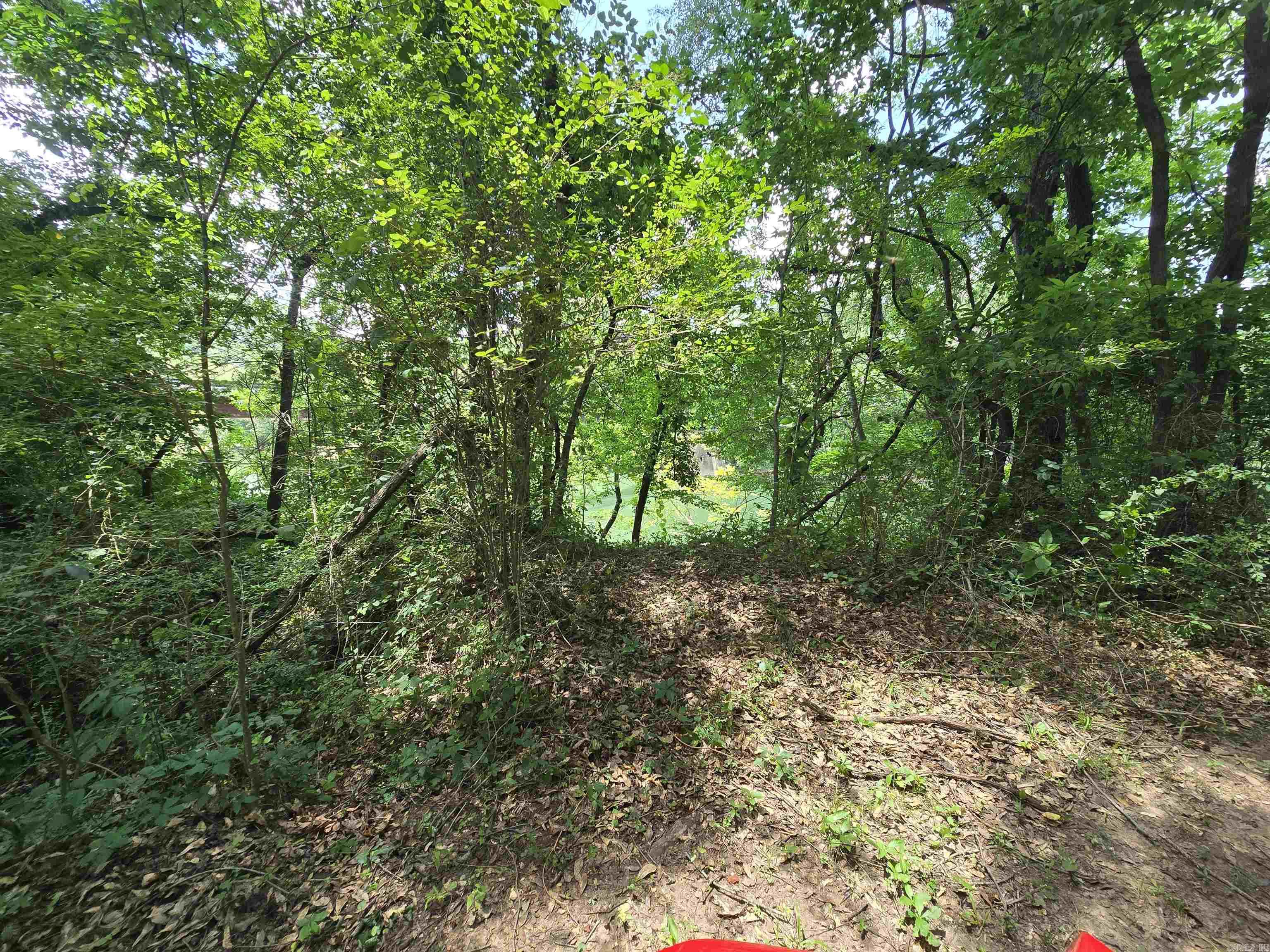 102 McKinney  Shirley, AR
