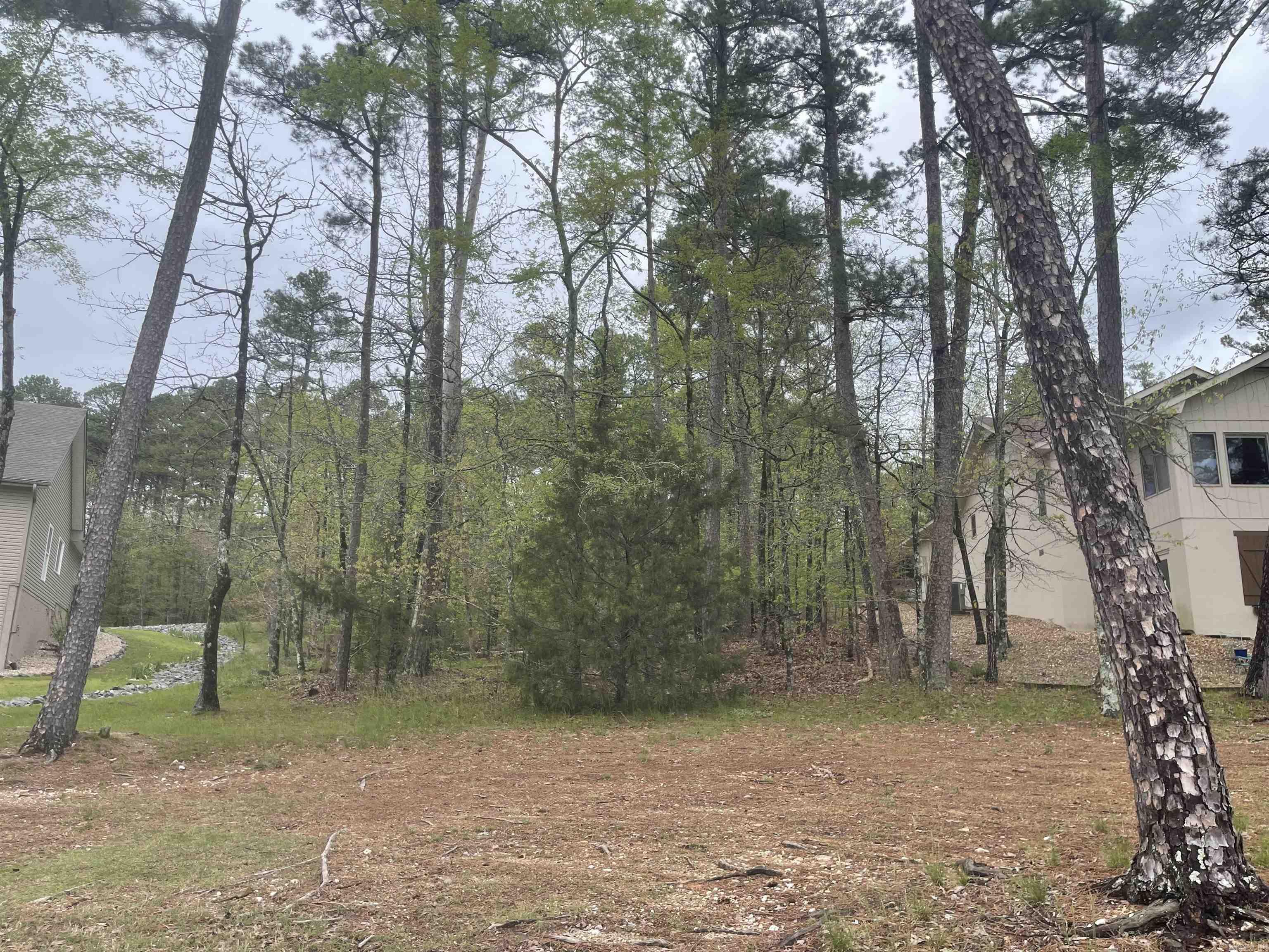 74 Justa Via  Hot Springs Village, AR