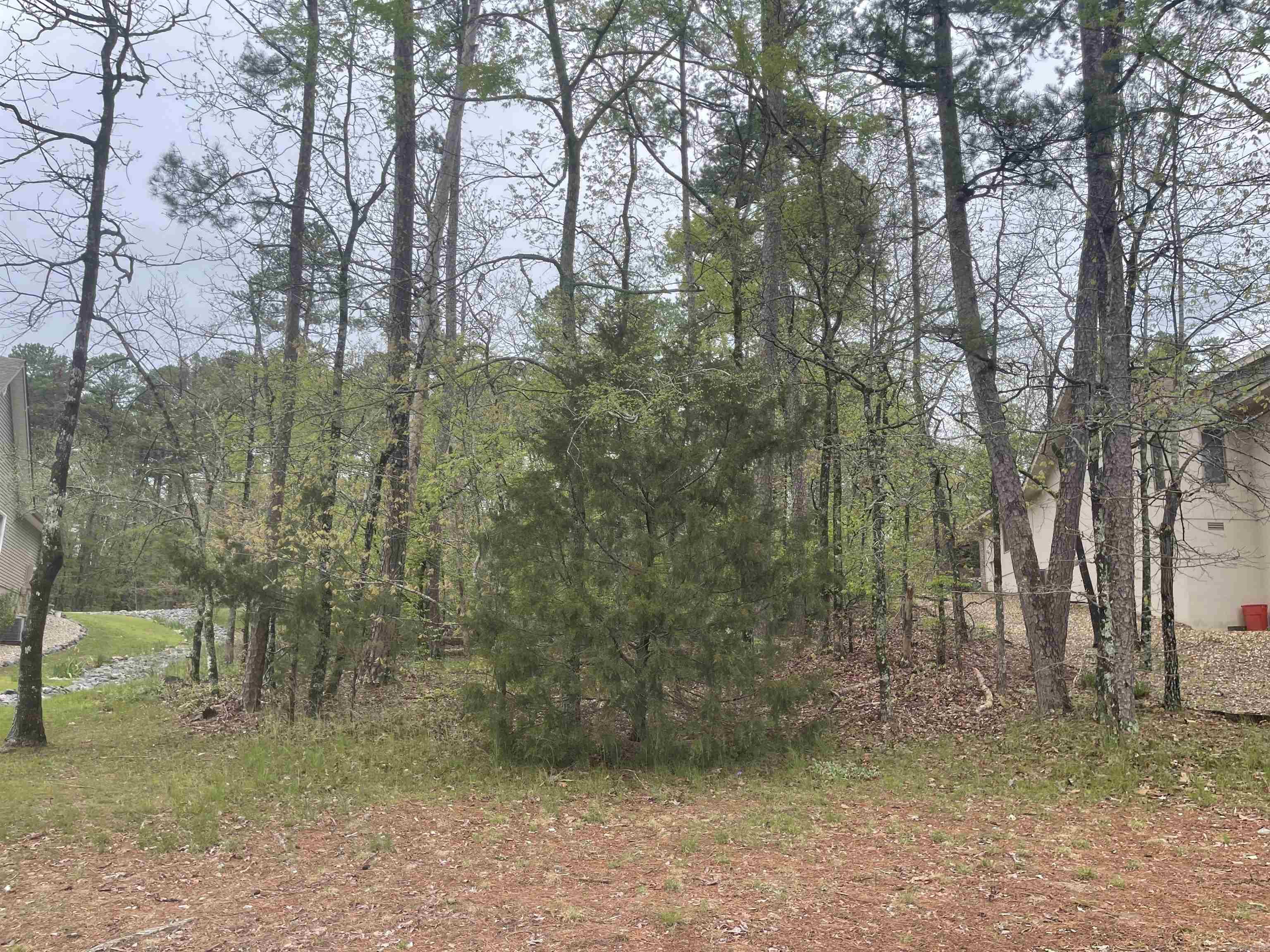 74 Justa Via  Hot Springs Village, AR