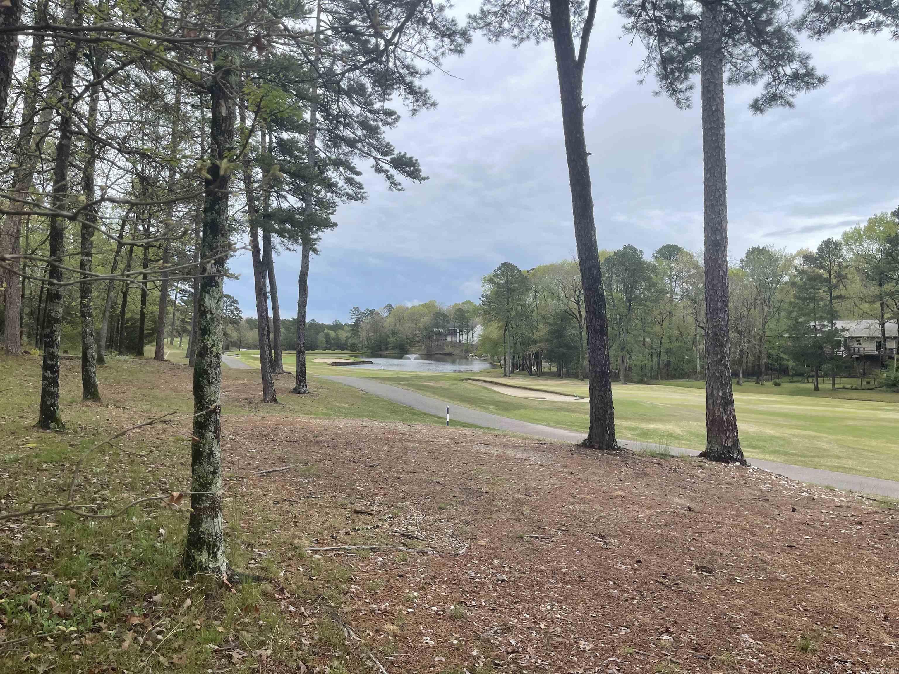 74 Justa Via  Hot Springs Village, AR