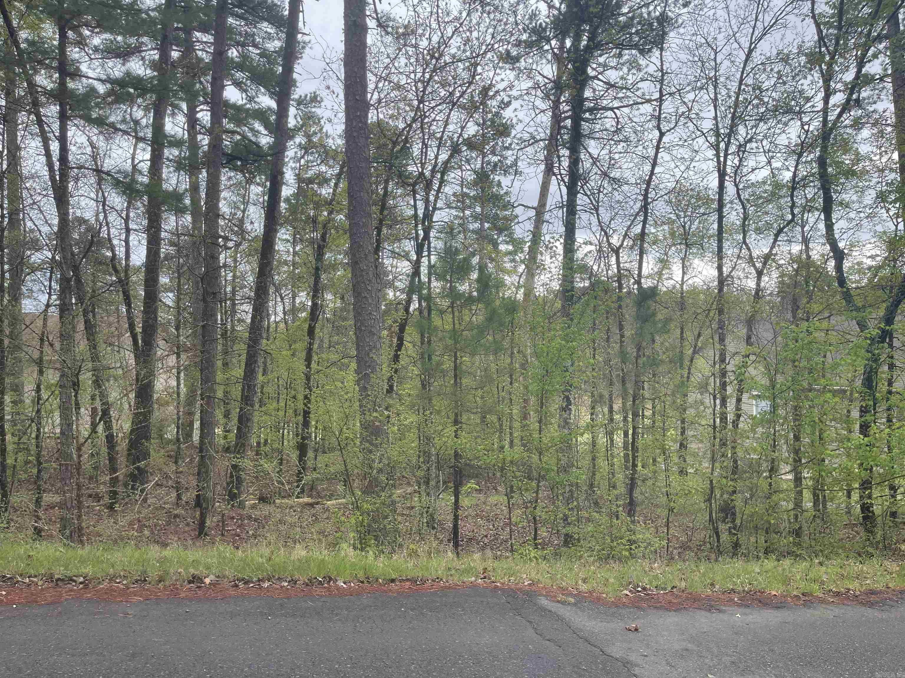 74 Justa Via  Hot Springs Village, AR