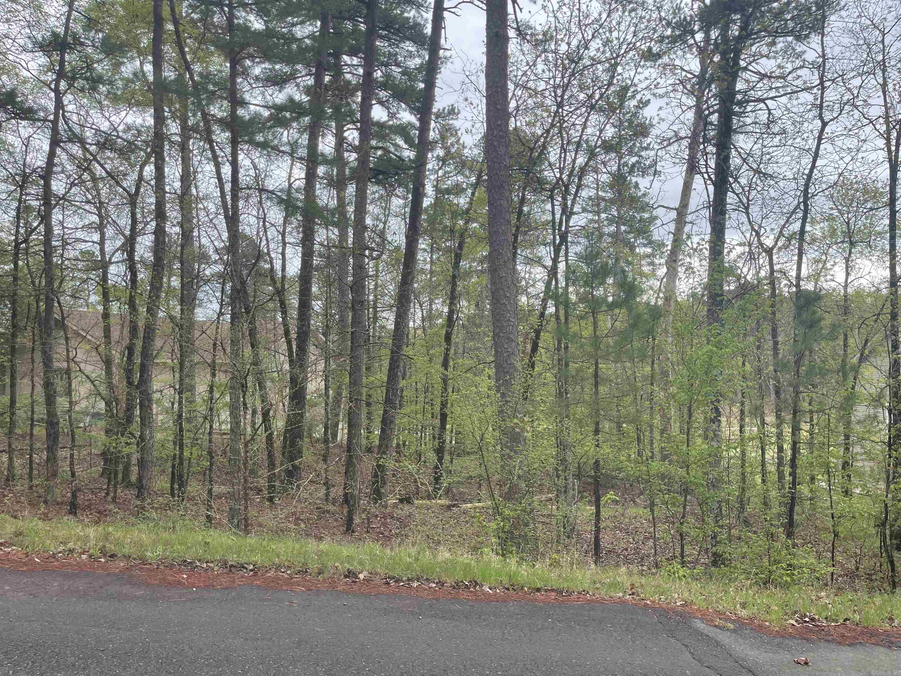 74 Justa Via  Hot Springs Village, AR