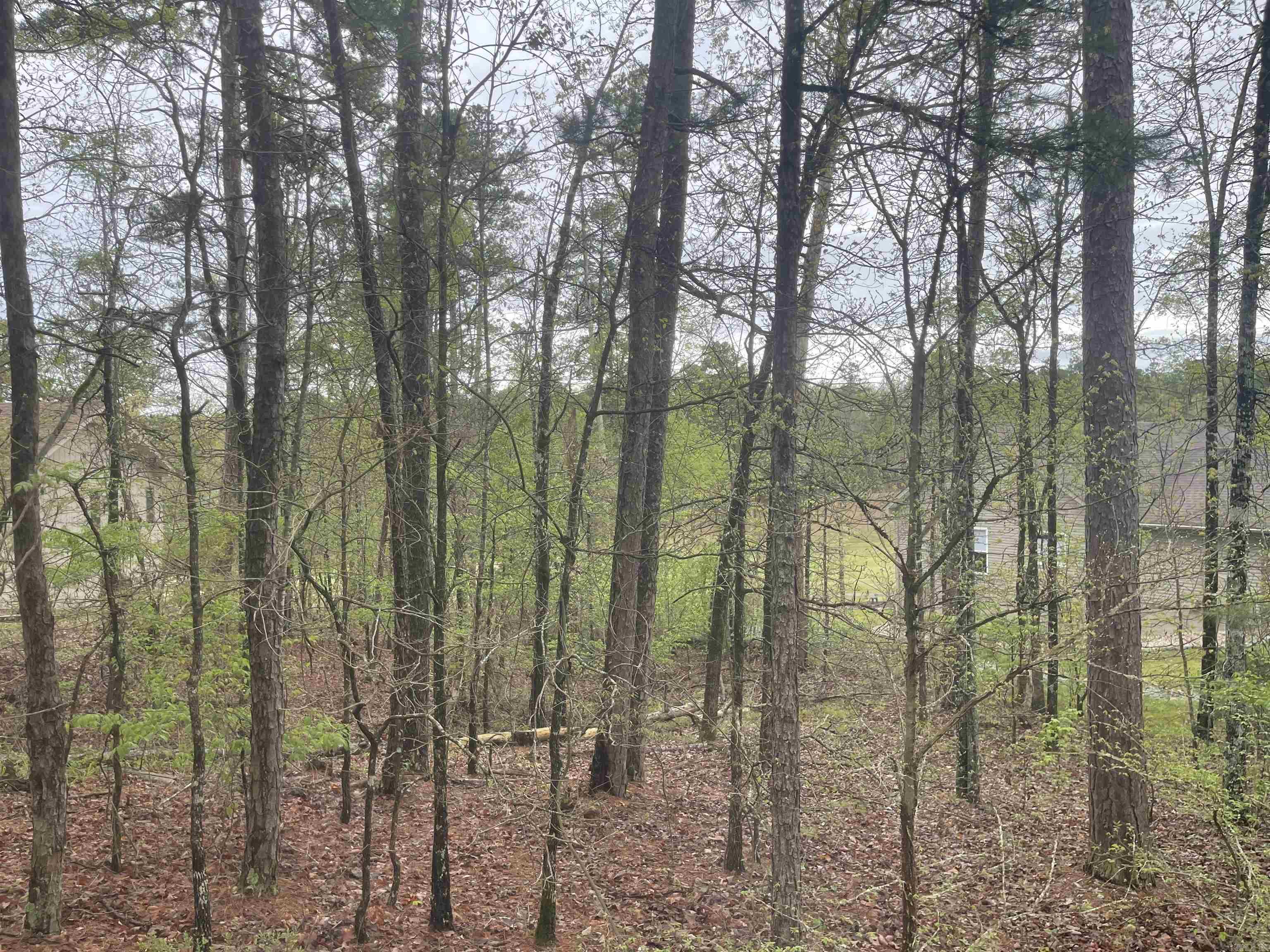 74 Justa Via  Hot Springs Village, AR
