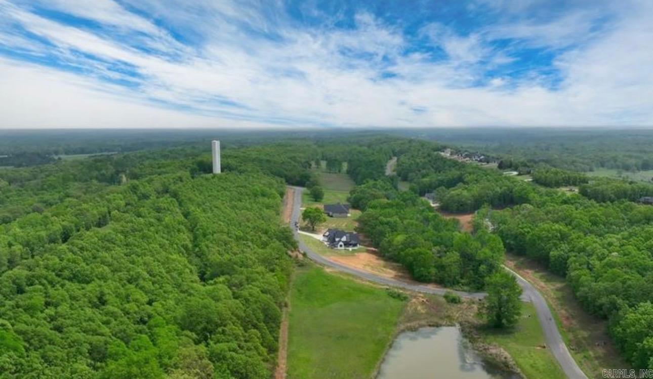 Lot 31 Crested Butte  Austin, AR