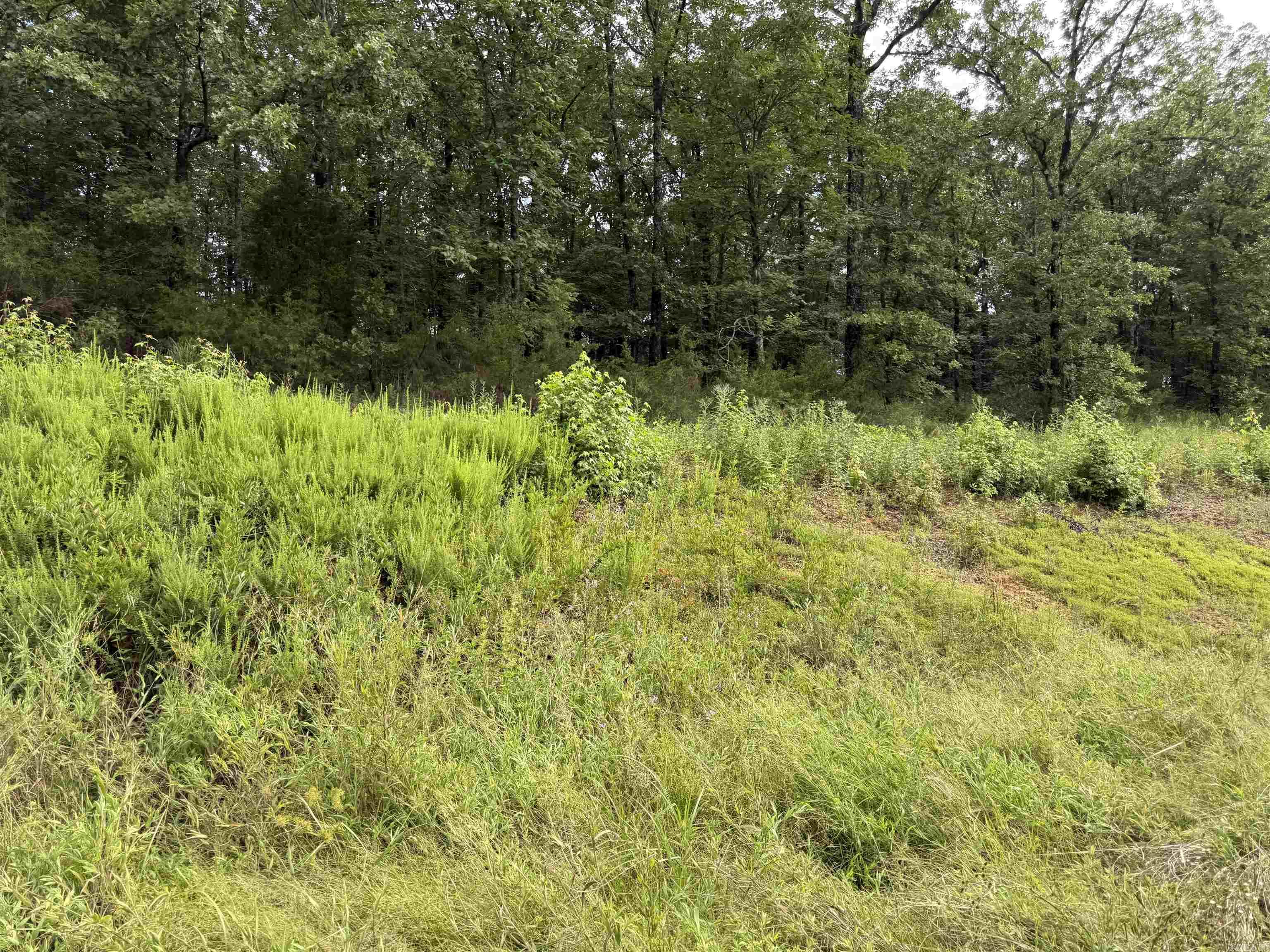 Lot 36 Crested Butte  Austin, AR
