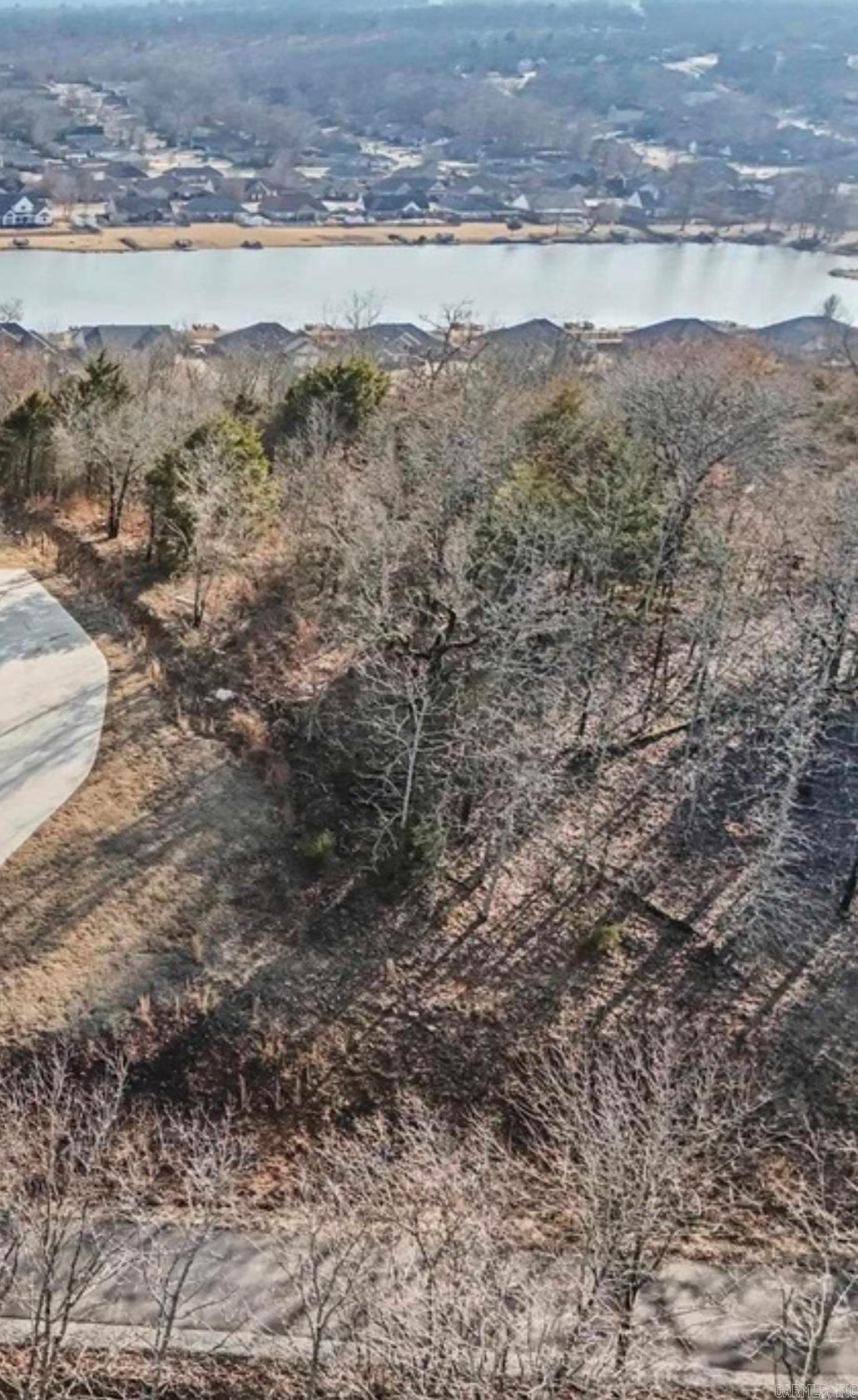 Lot 36 Crested Butte  Austin, AR