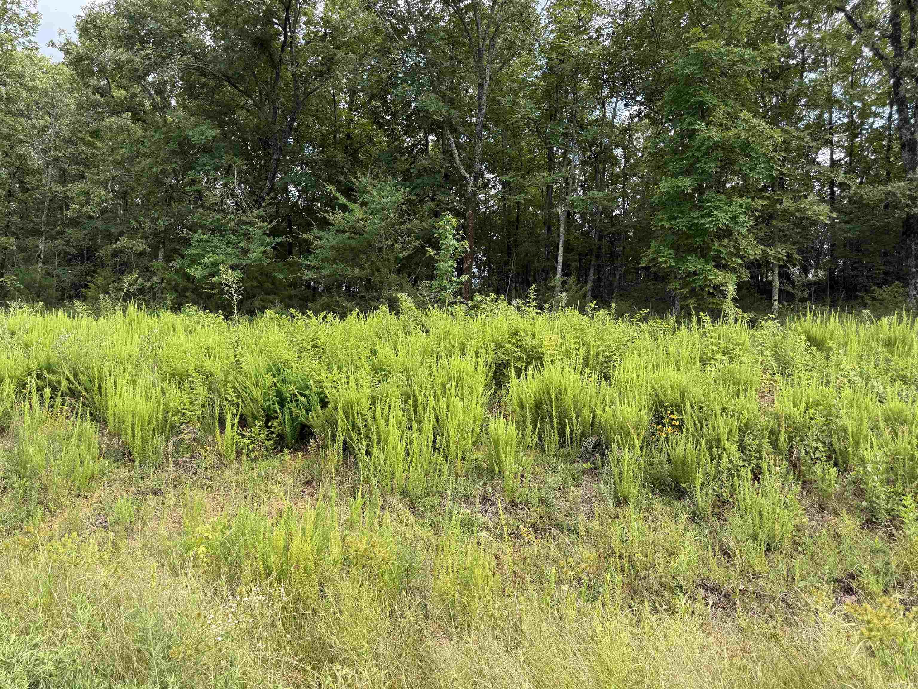 Lot 37 Crested Butte  Austin, AR