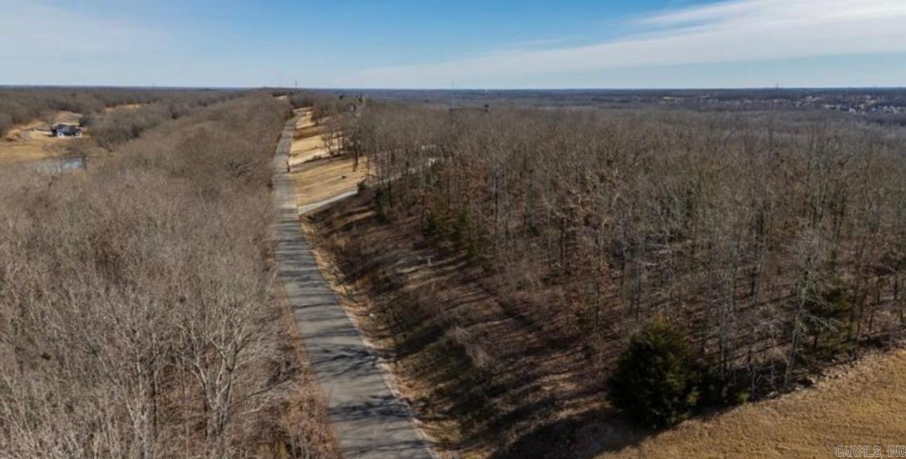 Lot 37 Crested Butte  Austin, AR
