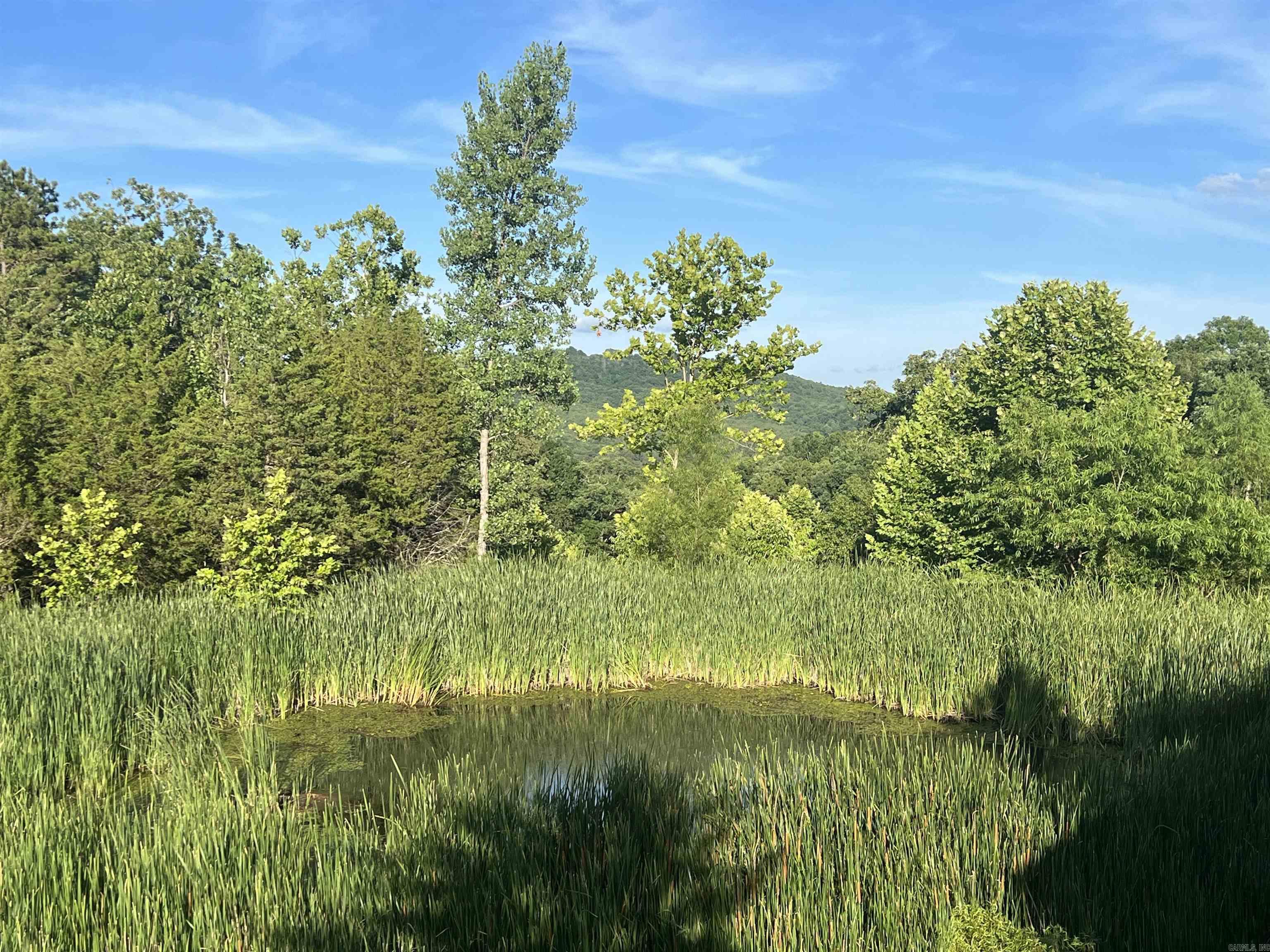 263 NC 3951  Marble Falls, AR