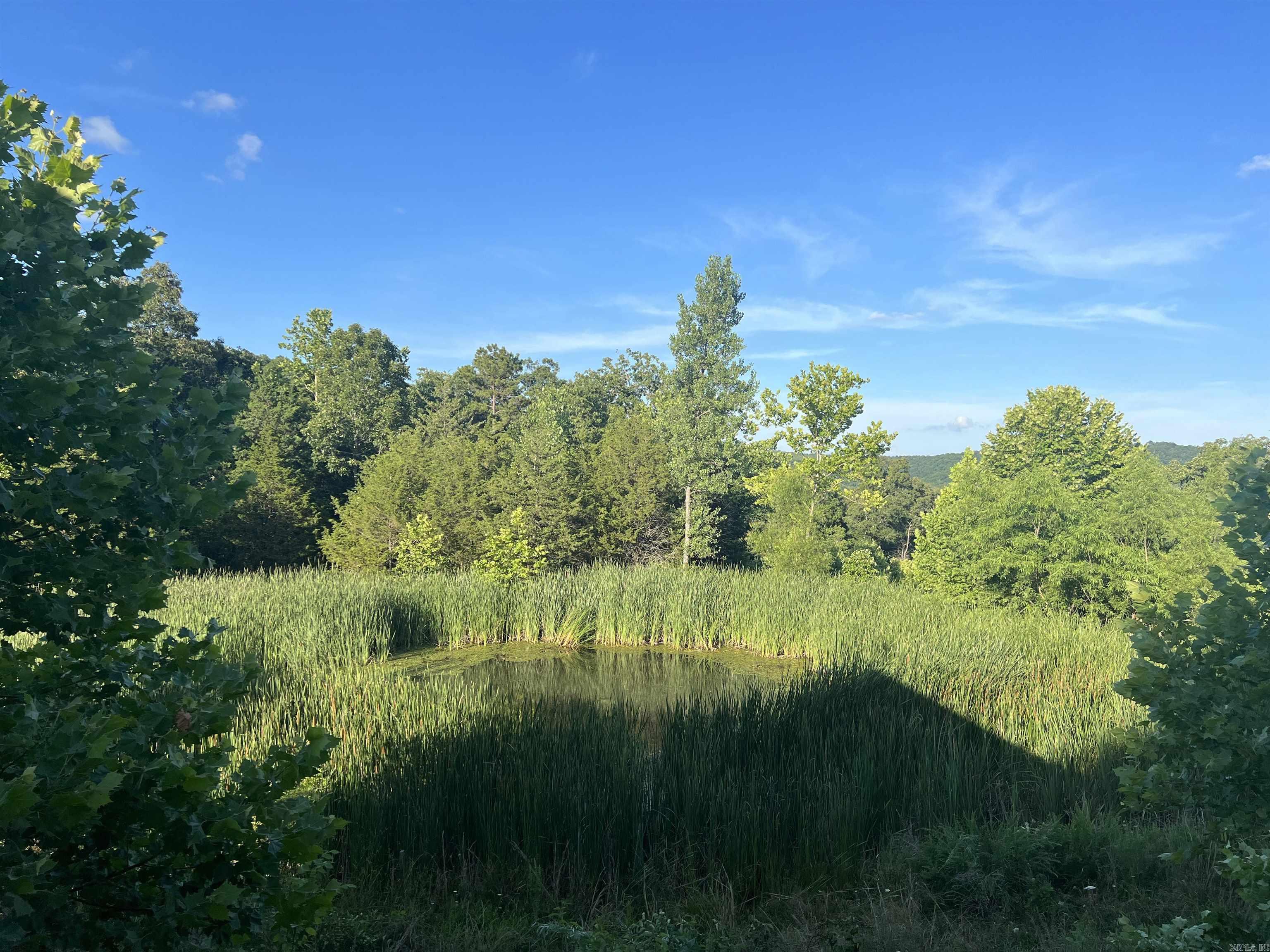 263 NC 3951  Marble Falls, AR
