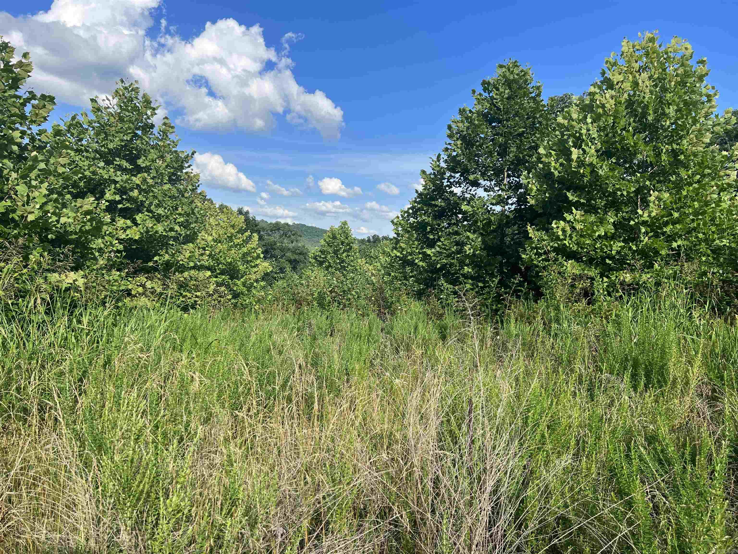 263 NC 3951  Marble Falls, AR