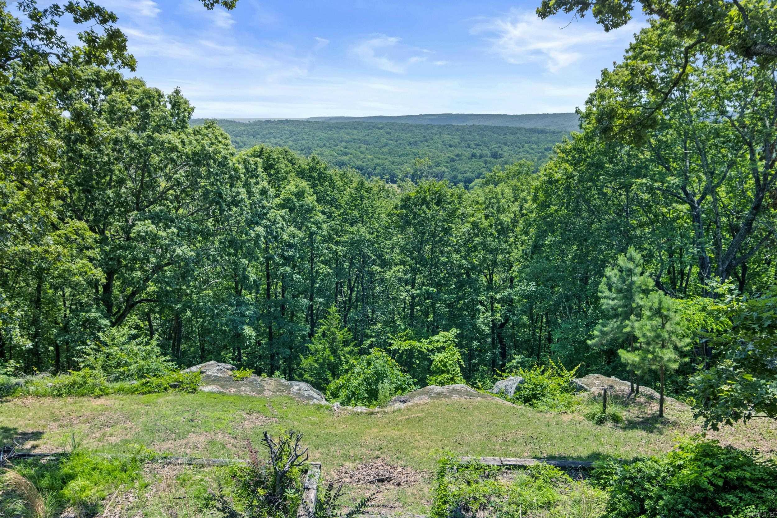 176 Sidon  Rose Bud, AR