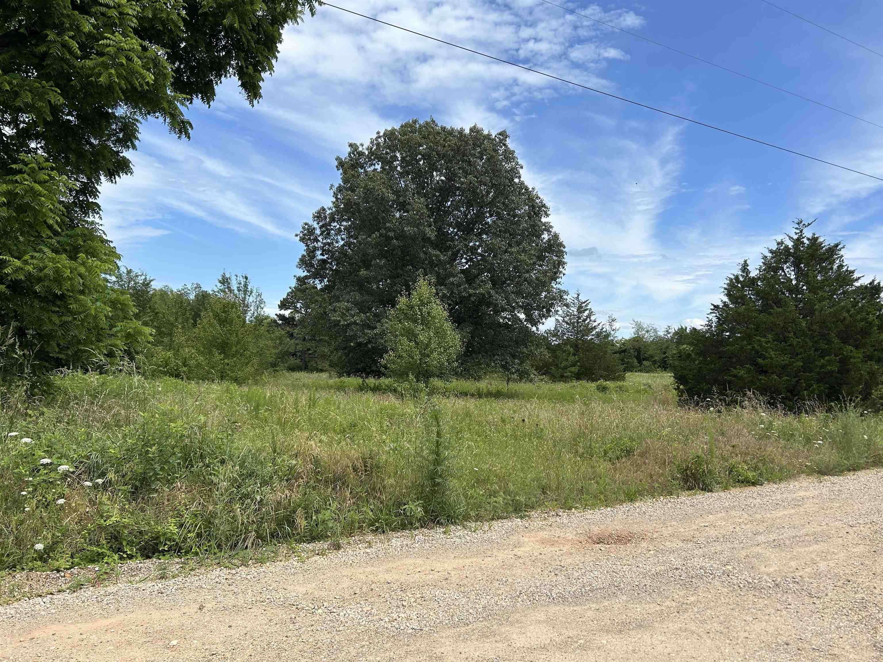 676 County Road 403  Alton, MO