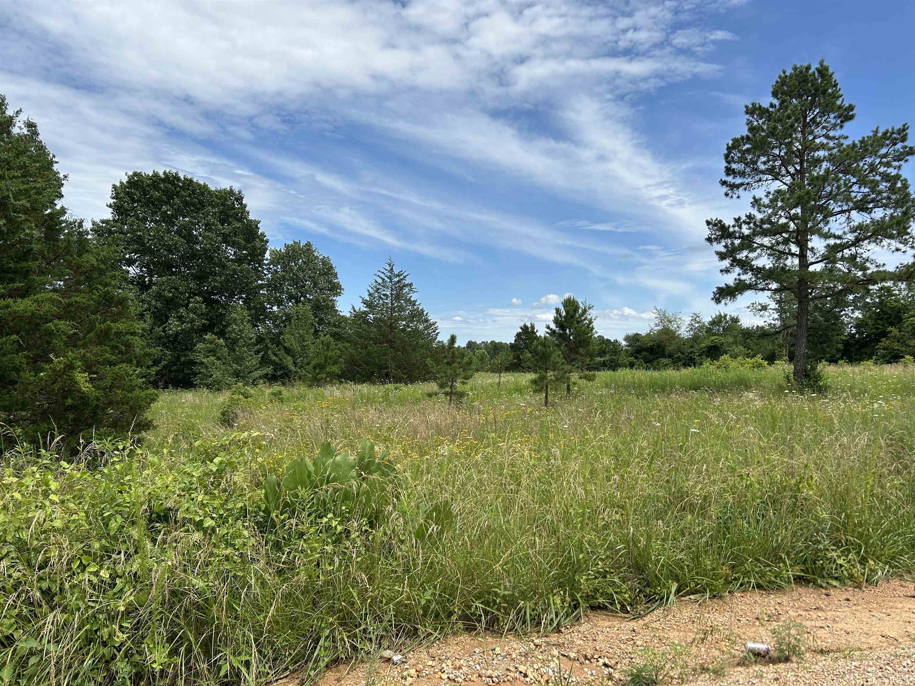 676 County Road 403  Alton, MO