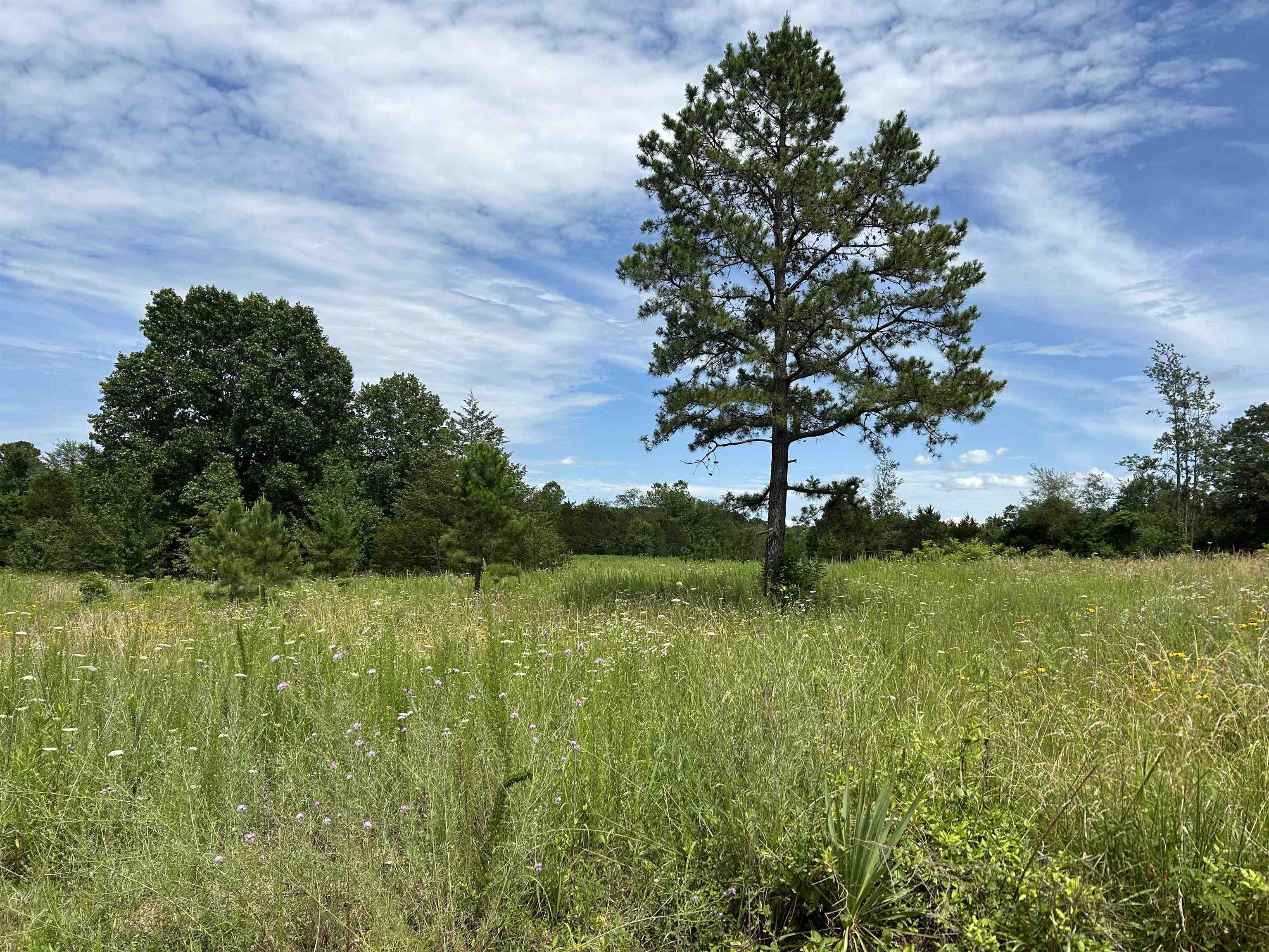 676 County Road 403  Alton, MO